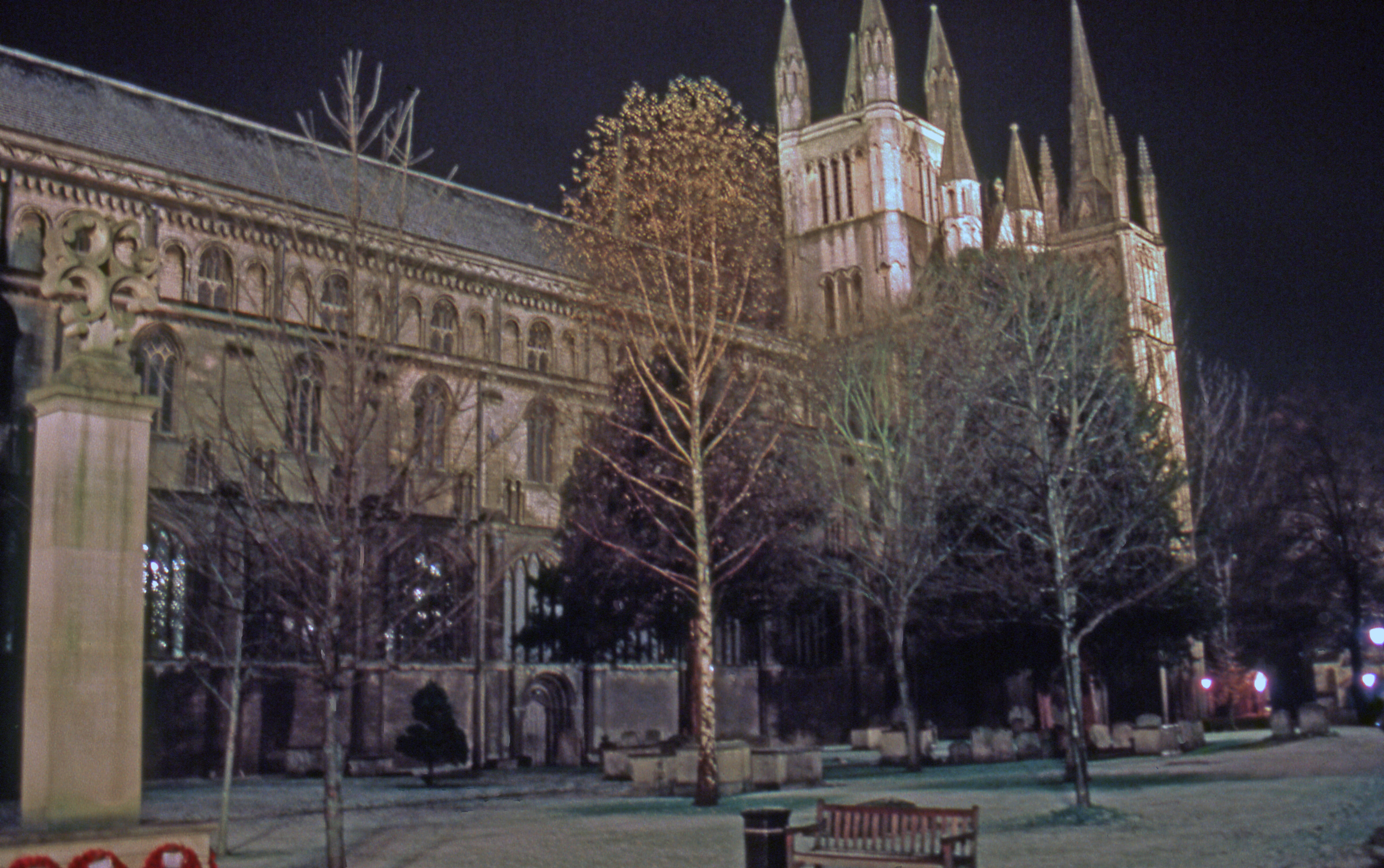 building exterior, tree, place of worship, built structure, cathedral, travel destinations, plant, government, city, the past, architecture, building, peterborough, HD Wallpaper