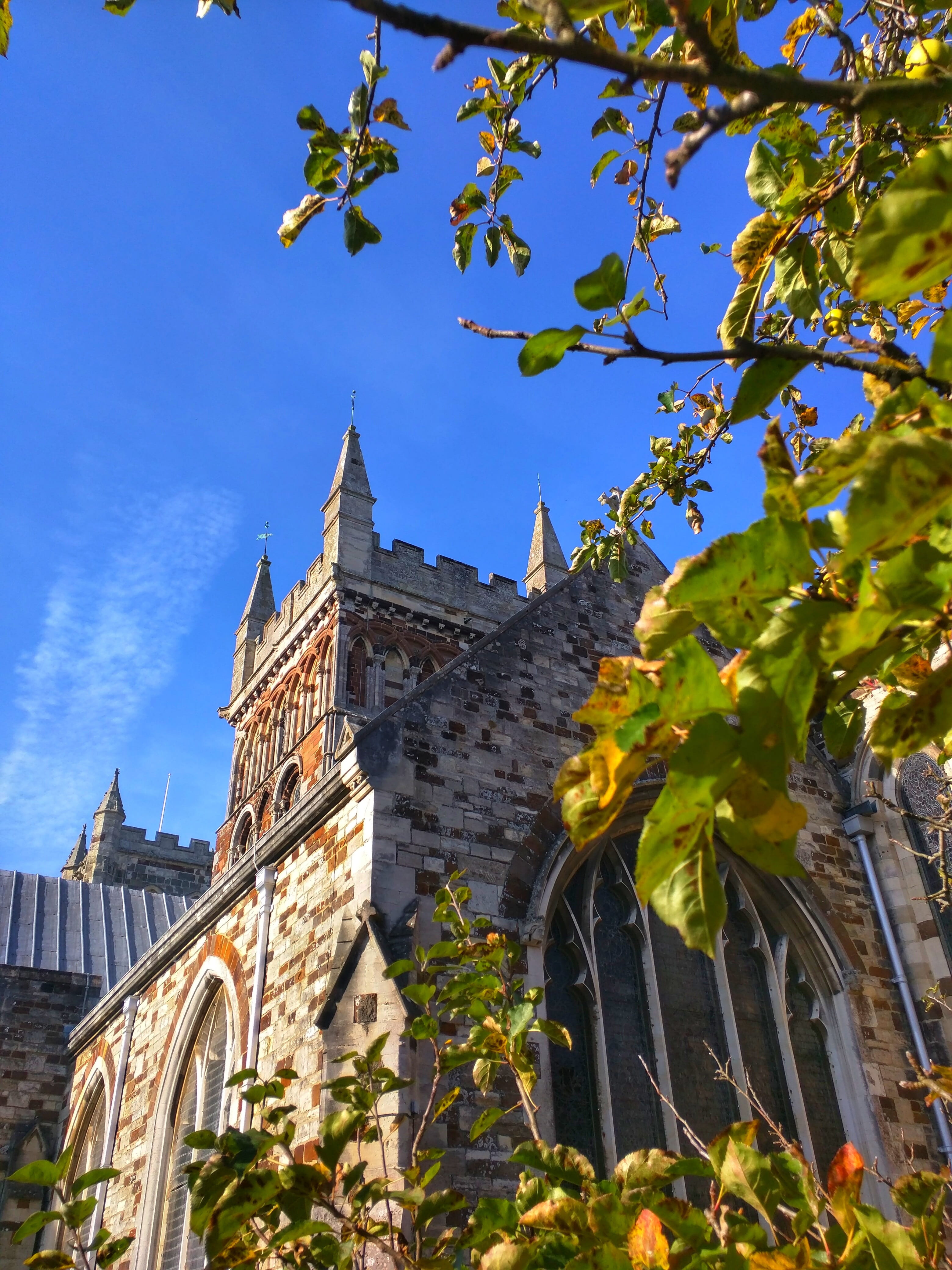 outdoors, church, building, Wimborne Minster, structure, built structure, no people, architecture, travel, traditional, nature, tree, locations, worship, Phone HD Wallpaper