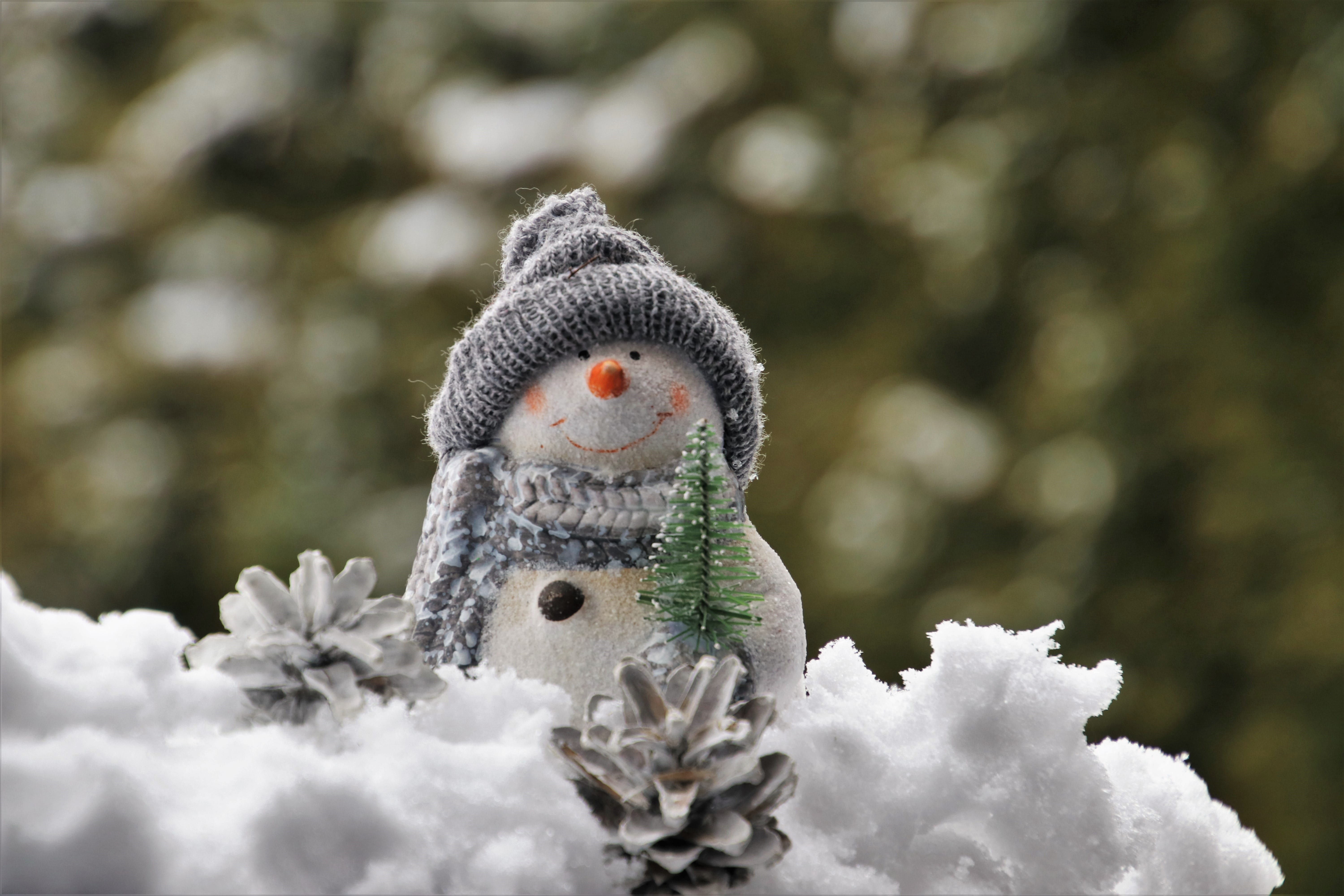 focus on foreground, dec, plant, winter, tree, white color, no people, statue, white, sculpture, cold, nature, art and craft, the tradition of, human representation, HD Wallpaper