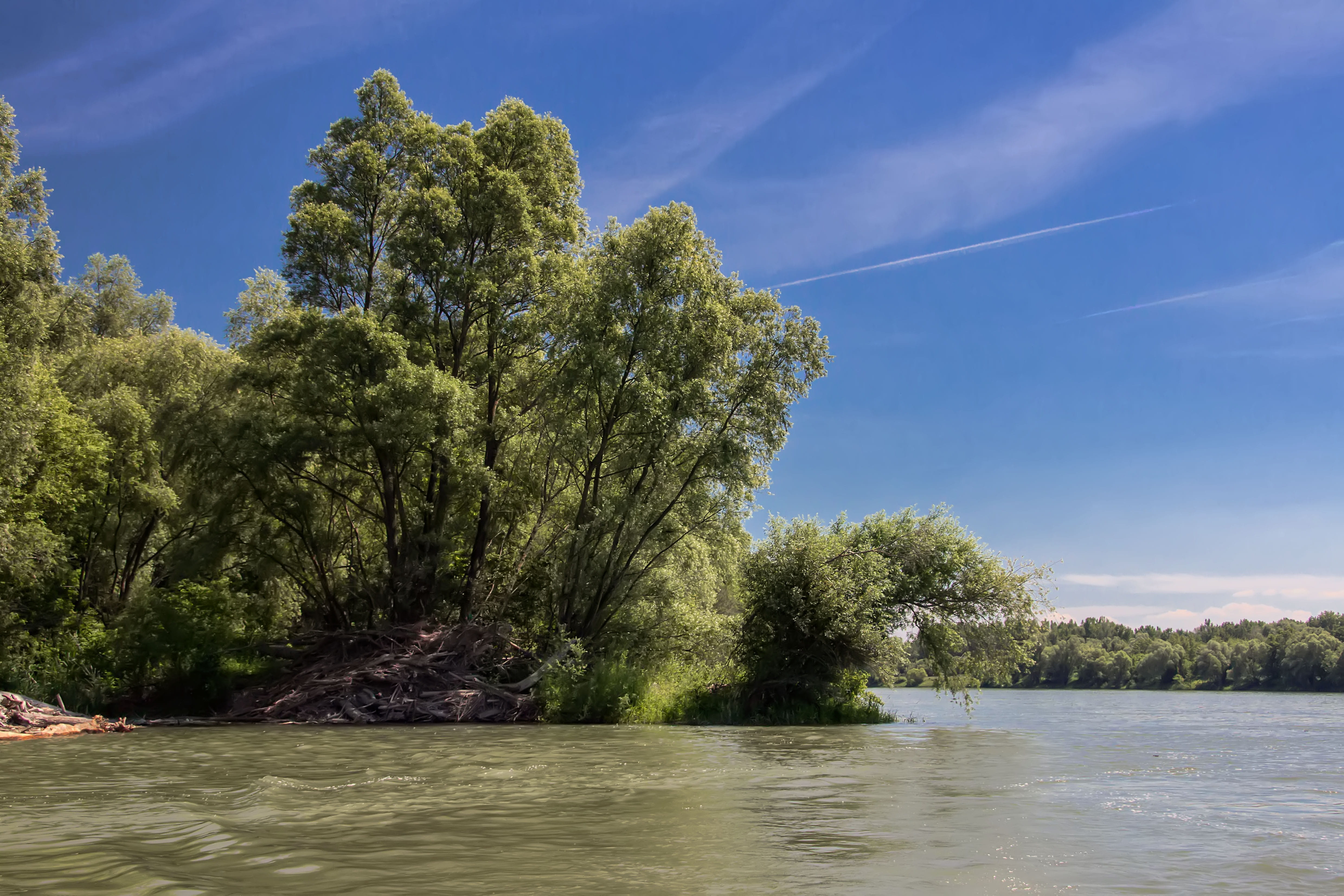 trees, river, blue, water, nature, bratislava, waterfront, danube, green color, tree, growth, plant, sky, tranquil scene, no people, day, outdoors, beauty in nature, HD Wallpaper
