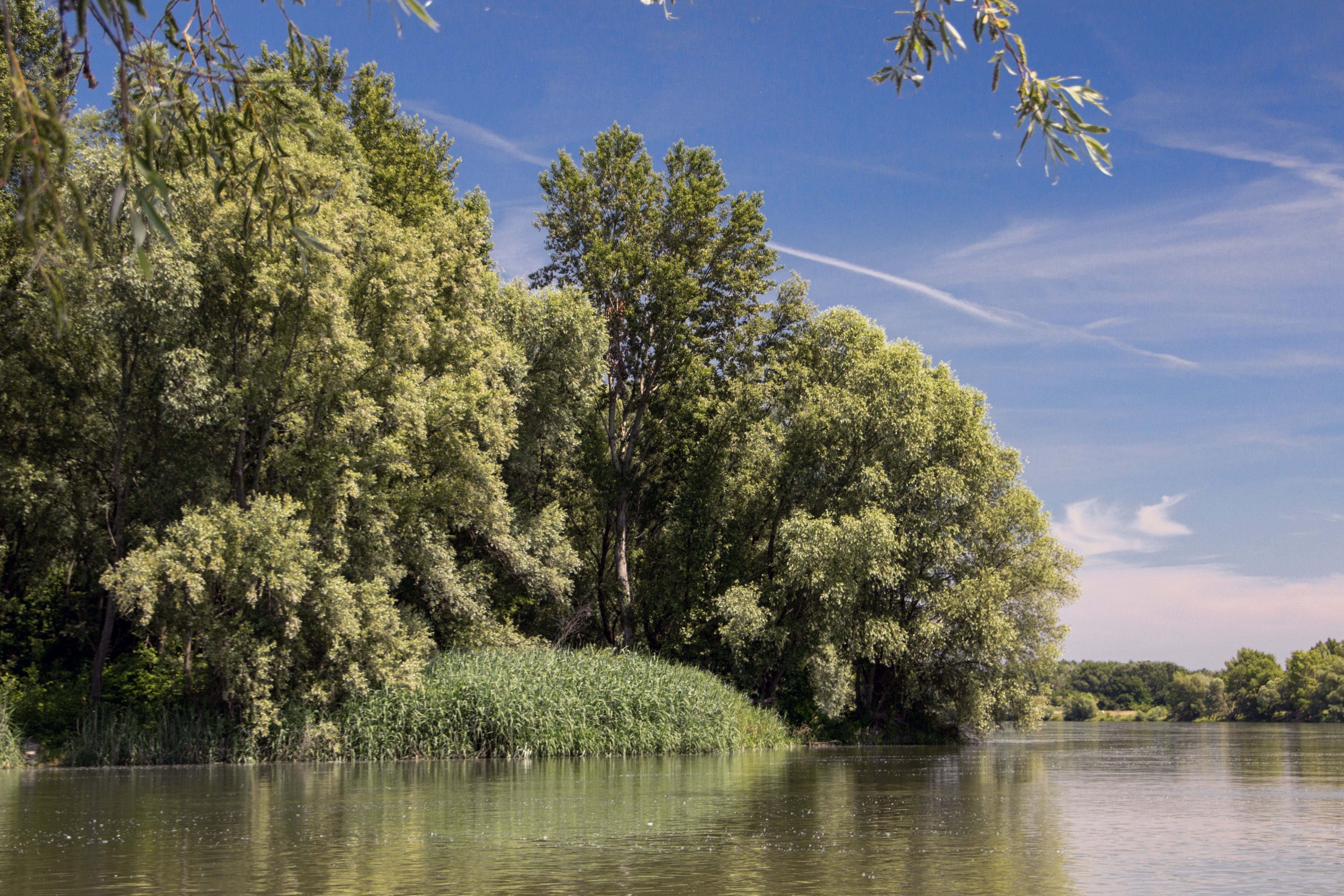 sky, green color, bratislava, reflection, beauty in nature, 4K, river, scenics - nature, tree, growth, non-urban scene, outdoors, water, tranquil scene, HD Wallpaper