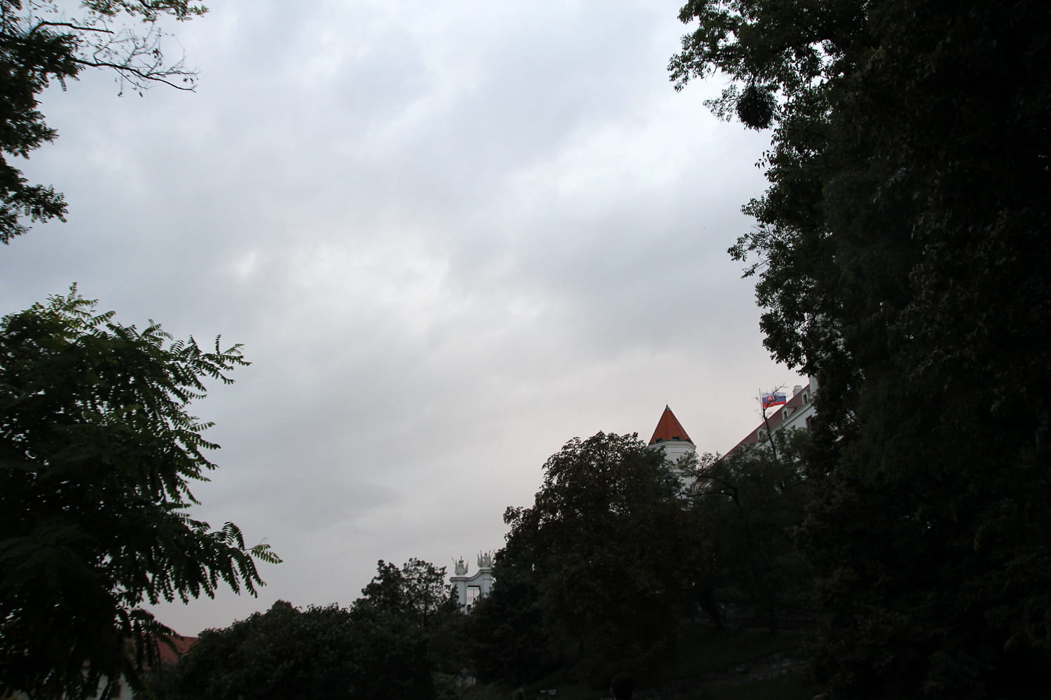 patriotism, no people, cloud - sky, tree, day, religion, nature, europe, bratislava, urban, 720P, beauty in nature, landmark, sunlight, growth, tourism, HD Wallpaper