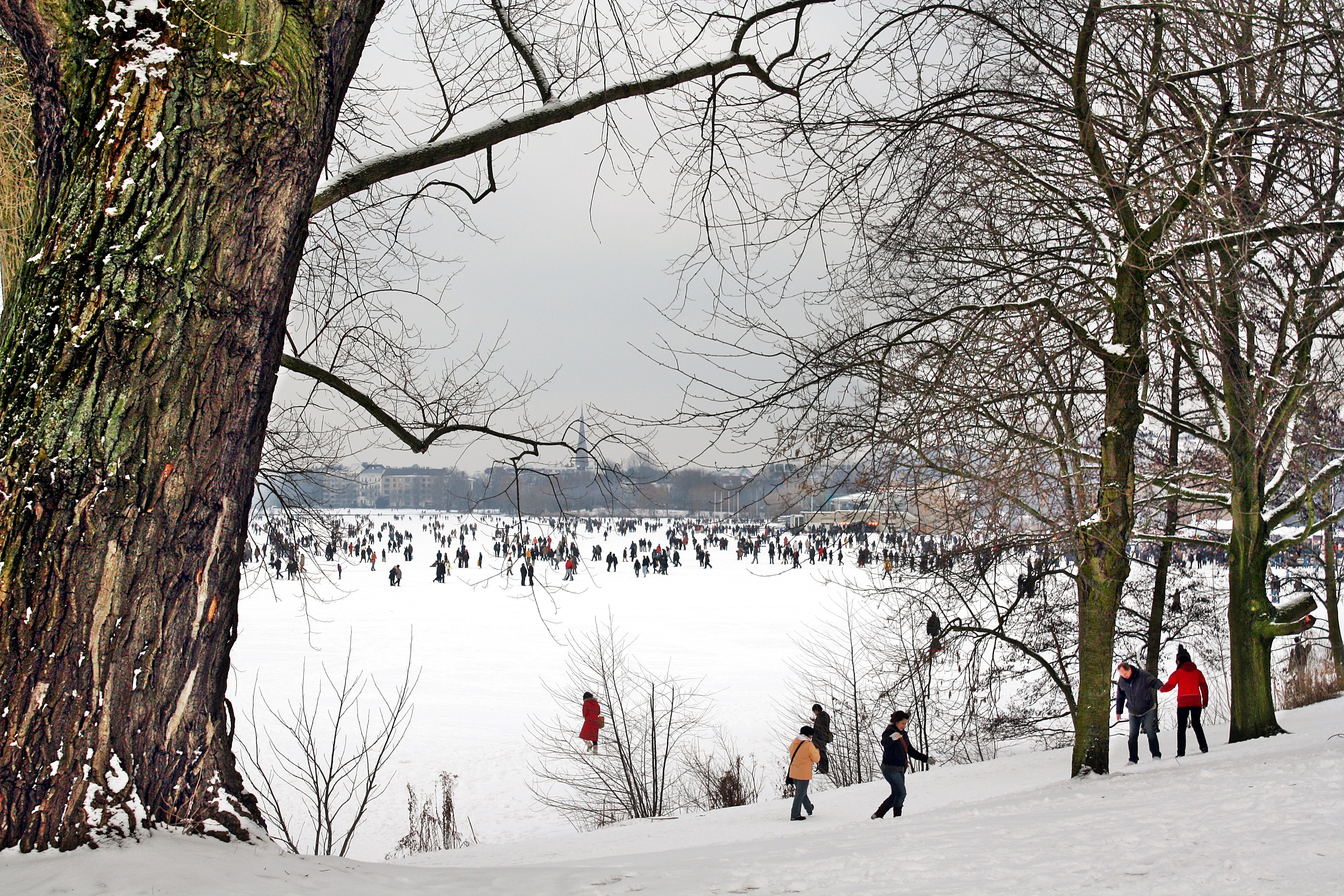 eisvergnügen, lifestyles, branch, frozen, eiszauner, nature, hamburgensien, 4K, land, inspiration, winter, hamburg, non-urban scene, the winters tale, HD Wallpaper