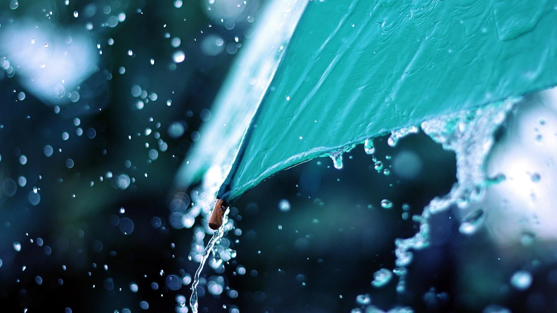 nature, no people, motion, splashing, umbrella, close up, raindrops, freshness, 1080P, photography, focus on foreground, rain, wet, close-up, day, raindrop, HD Wallpaper