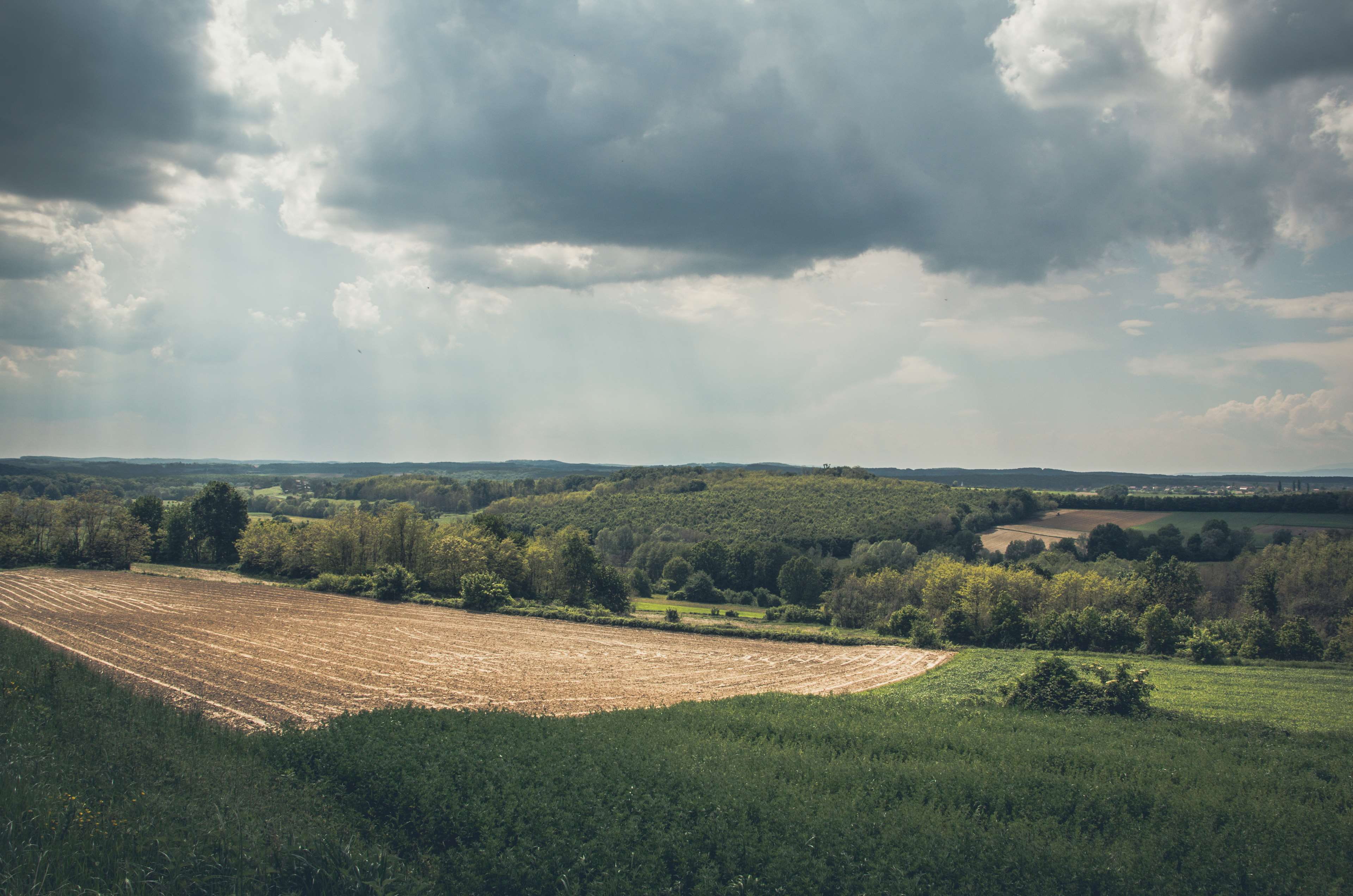 garden, cloud - sky, landscape, wide angle, plant, rain, nature, blue skies, green color, grass, non-urban scene, field, forest, scenics - nature, tree, HD Wallpaper