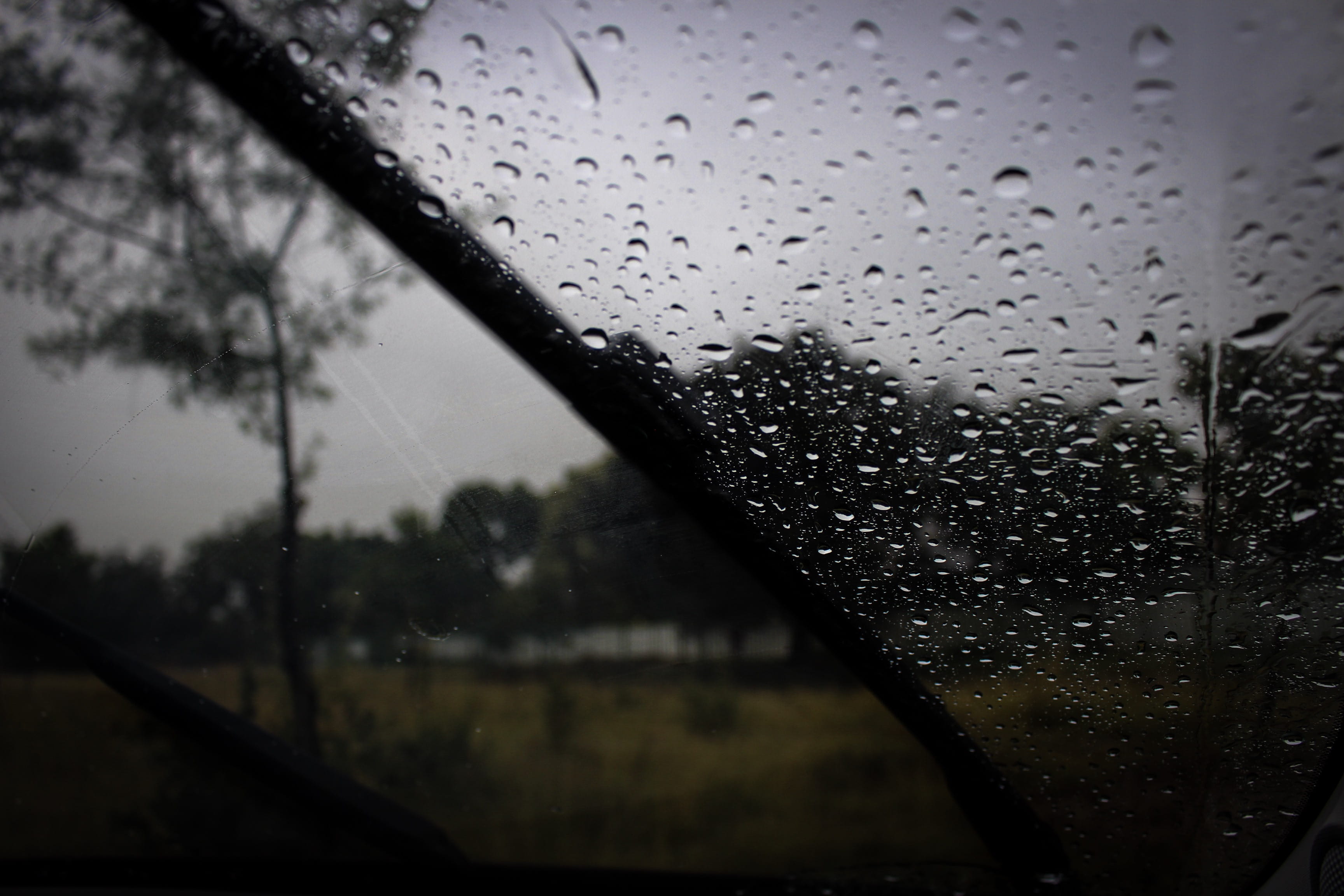 glass, rain, water, plants, focus on foreground, close-up, transportation, mode of transportation, vehicle interior, nature, forest, dark, environment, HD Wallpaper