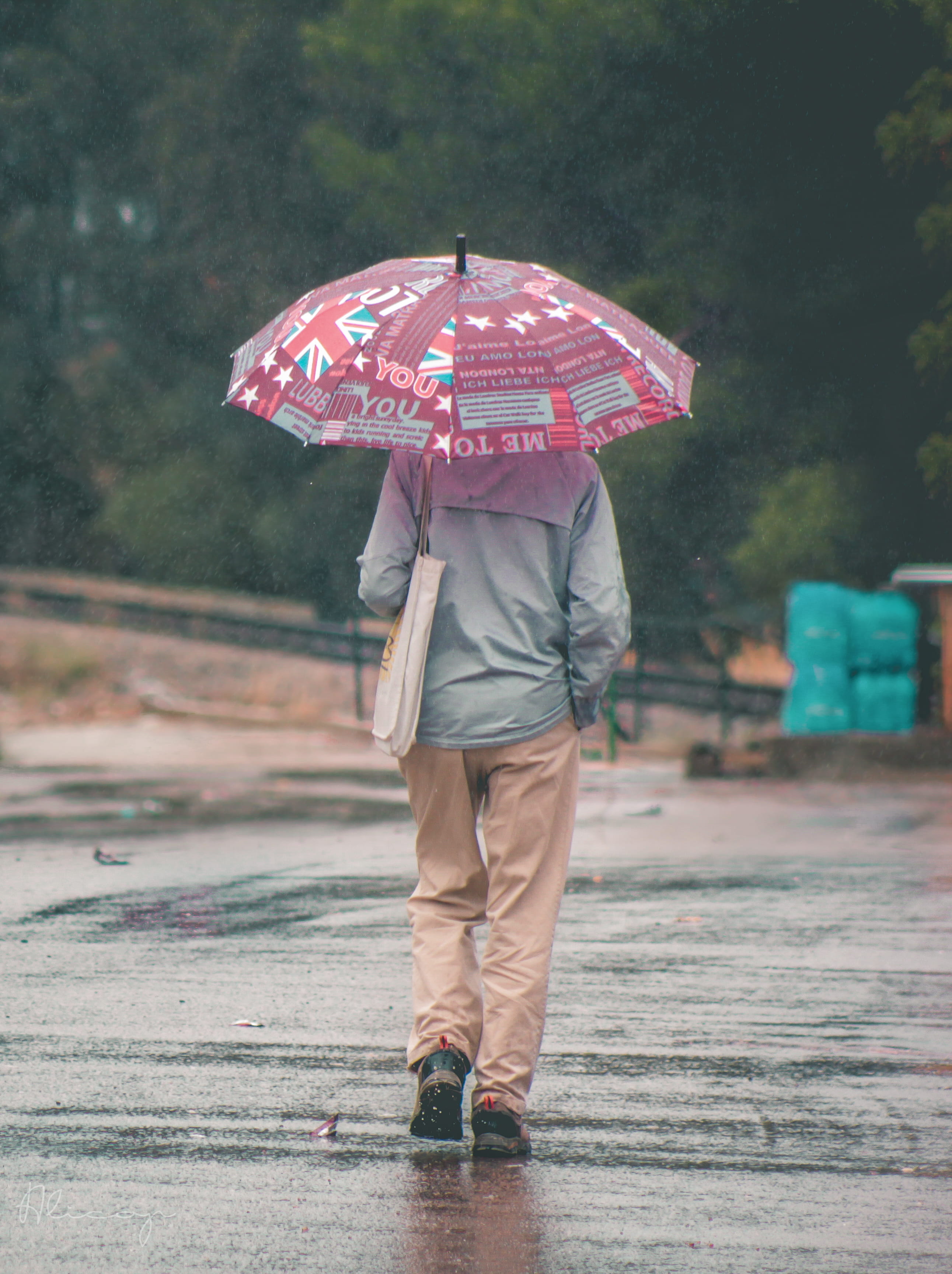 algeria, outdoors, walking, street, safety, full length, rain, men, umbrella, rainy season, 2K, holding, nature, monsoon, lifestyles, day, standing, rear view, Phone HD Wallpaper