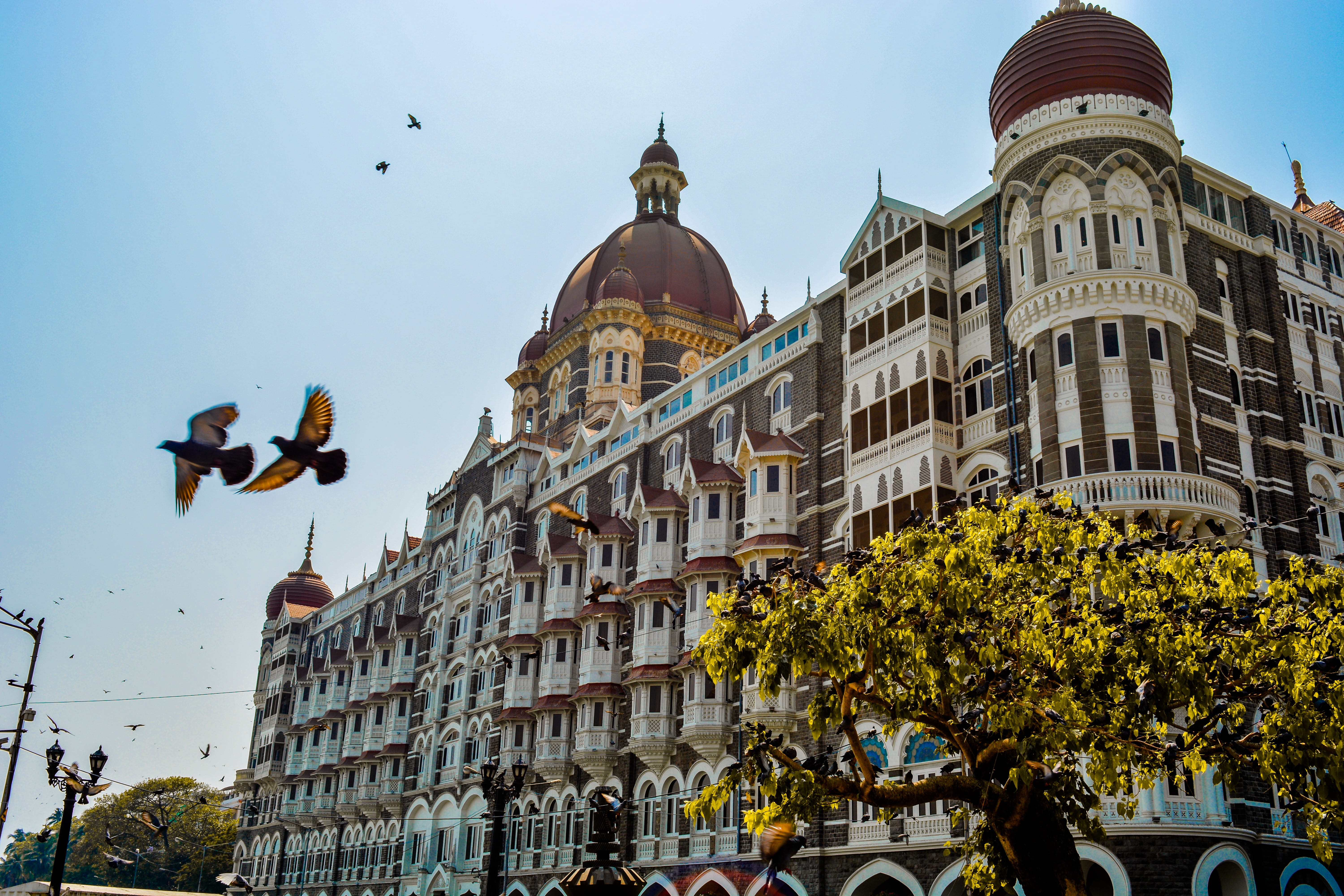 mumbai, travel destinations, architecture, monument, dome, travel, spirituality, vertebrate, building exterior, nature, government, plant, day, city, low angle view, HD Wallpaper