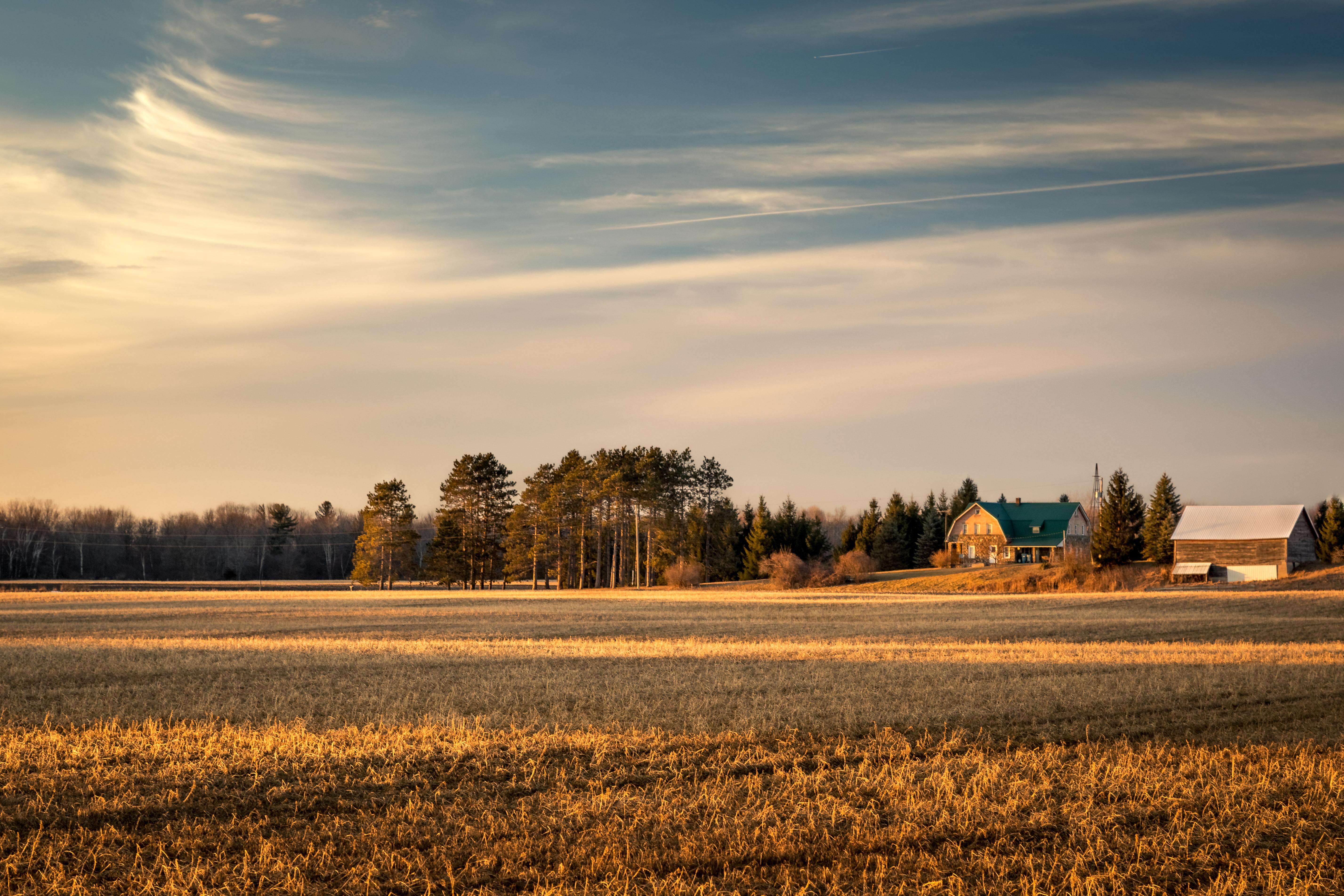 light, near, 5K, agriculture, tree, shallow, farm, bombay, forest, clouds, autumn, rural Scene, shallow focus, sunny, nature, field  house, yellow, Canon EOS 5D Mark IV, HD Wallpaper