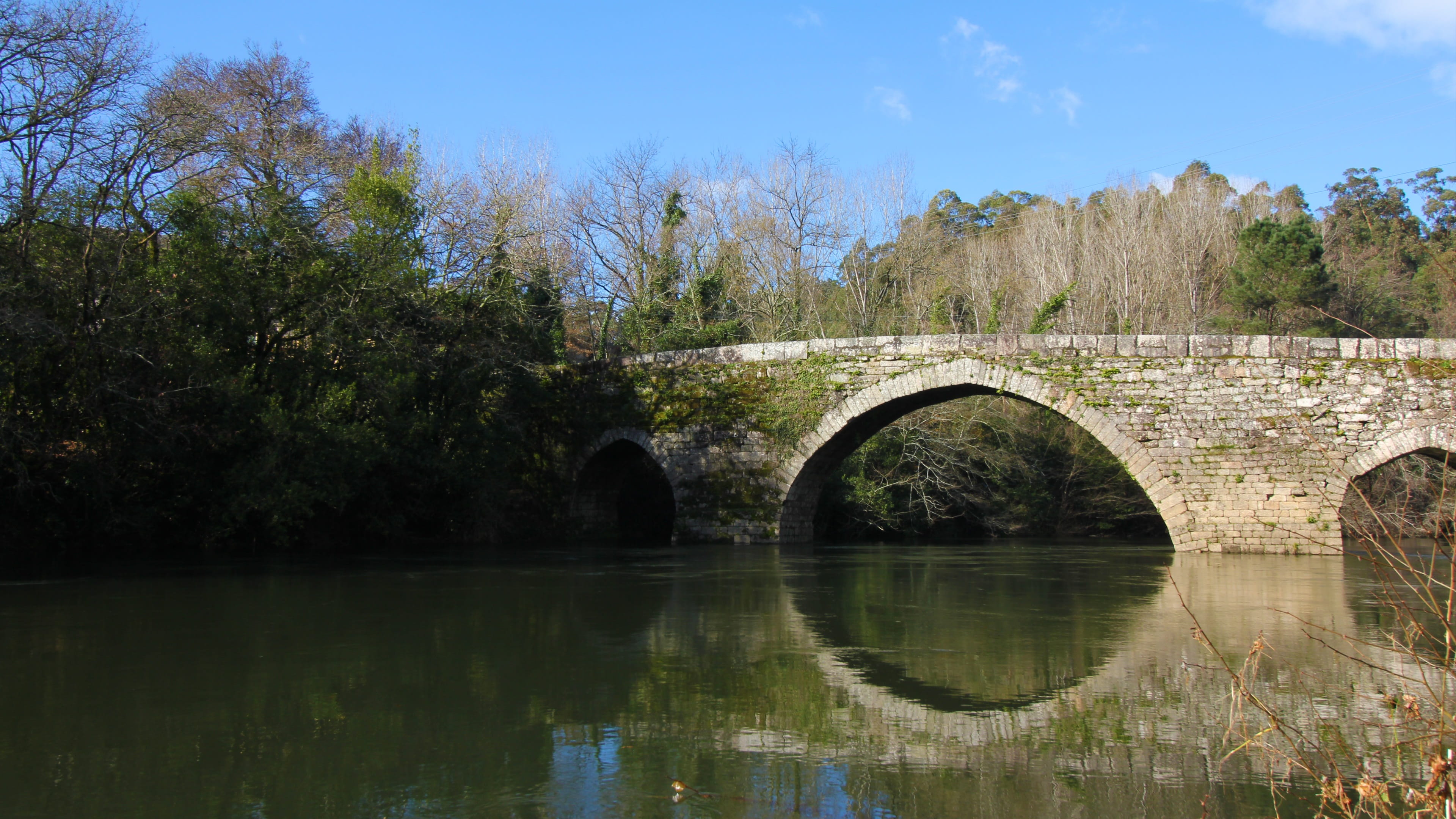 architecture, tree, arch, tui, arch bridge, no people, galicia, miño, bridge, clear, romanesque, water, sky, arched, reflection, day, vinho, landscape, HD Wallpaper