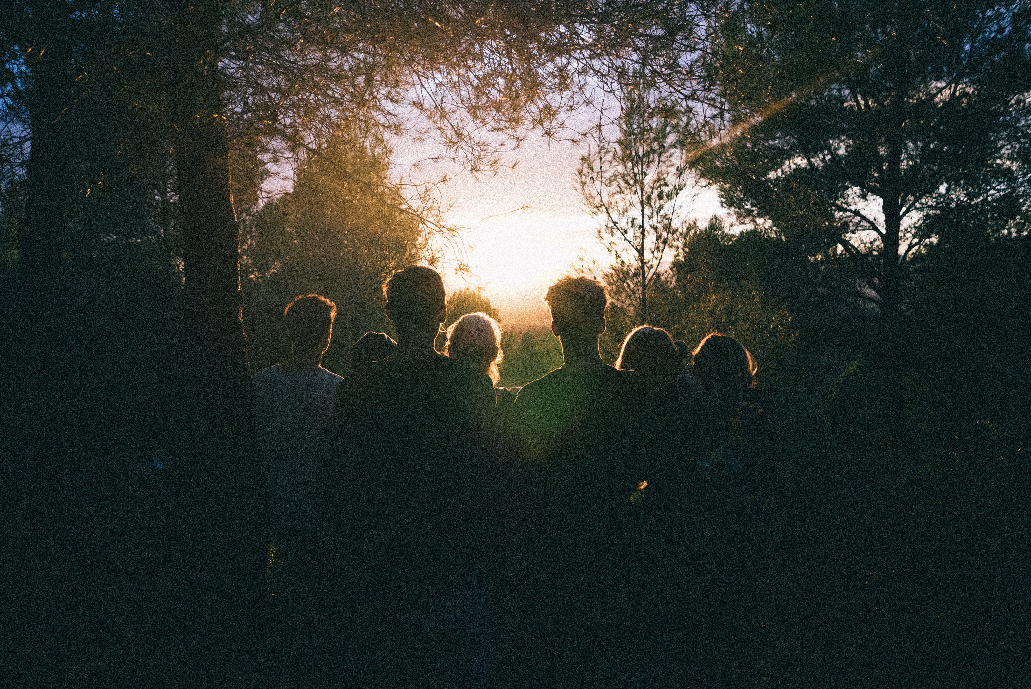 crowd, dawn, light, real people, recreation, beauty, golden hour, line, daylight, group of people, friendship, outdoors, evening, group, men, lifestyles, HD Wallpaper