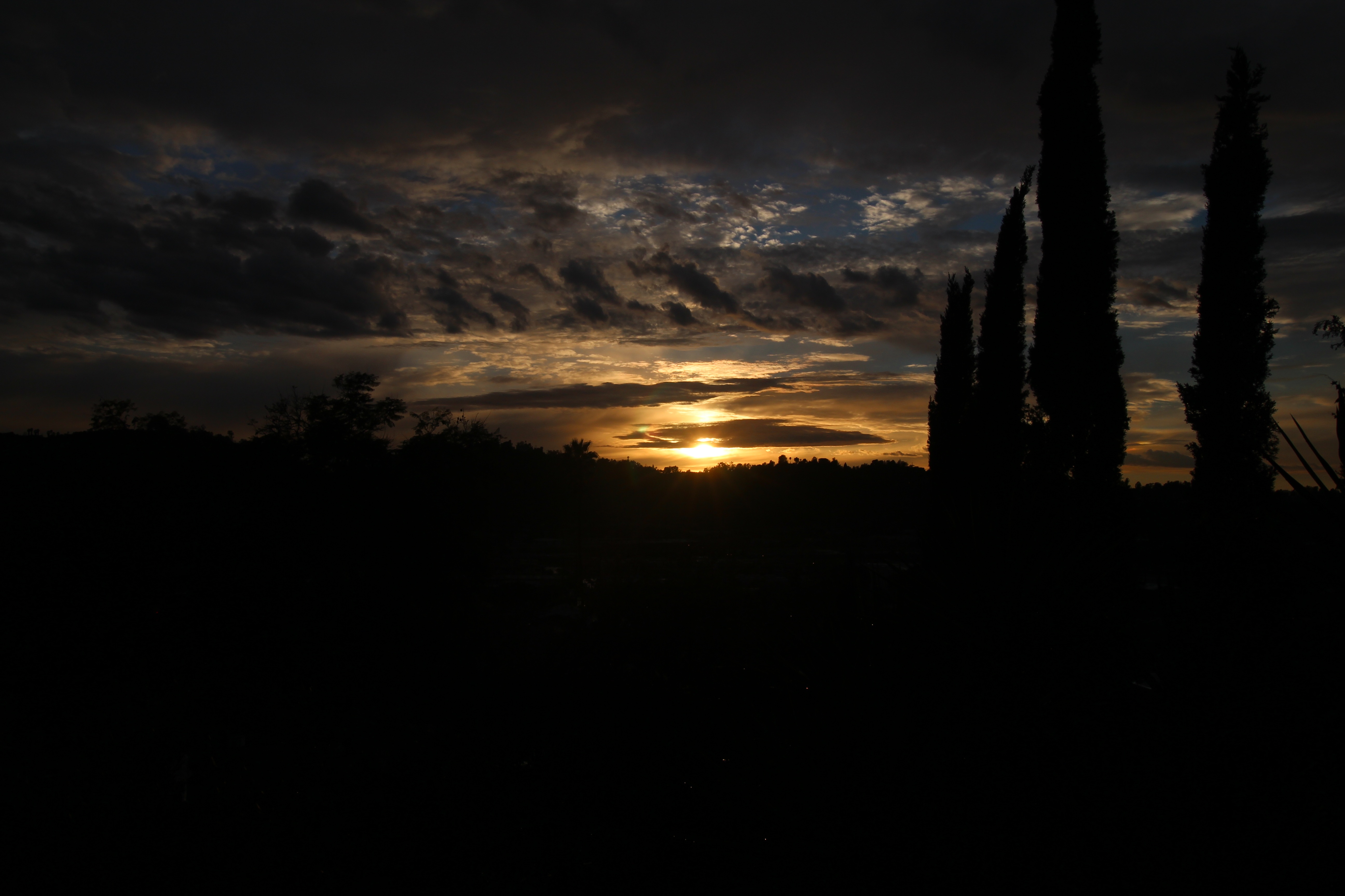 plant, sun, 5K, idyllic, orange, cielo, tree, sunrise, dramatic sky, outdoors, sky, view, no people, scene, sol, evening, outdoor, blue, scenics - nature, HD Wallpaper