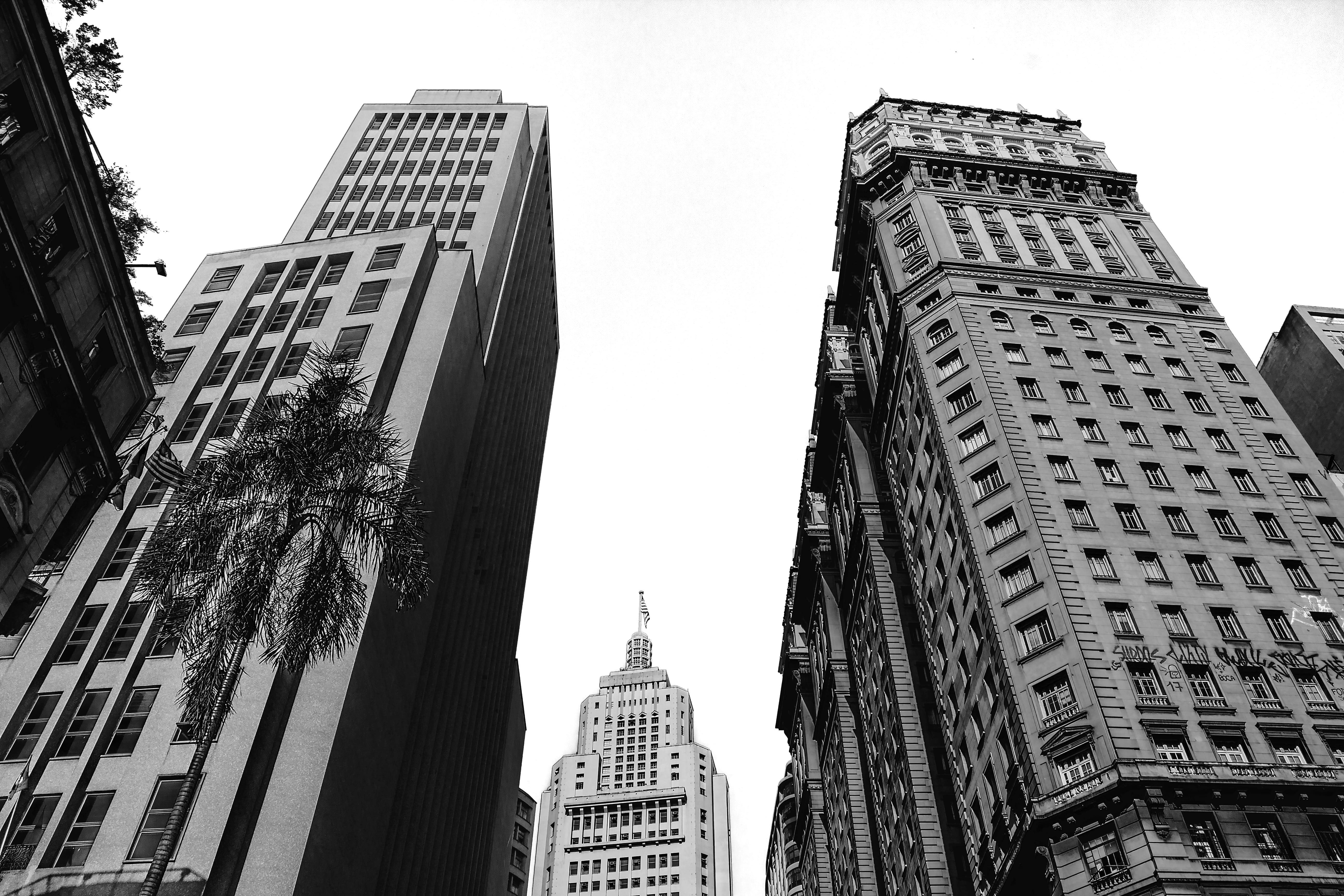 building, downtown, modern, financial district, spire, outdoors, landscape, brasil, tall - high, nature, travel, urban, vale do anhangabau, skyscraper, HD Wallpaper