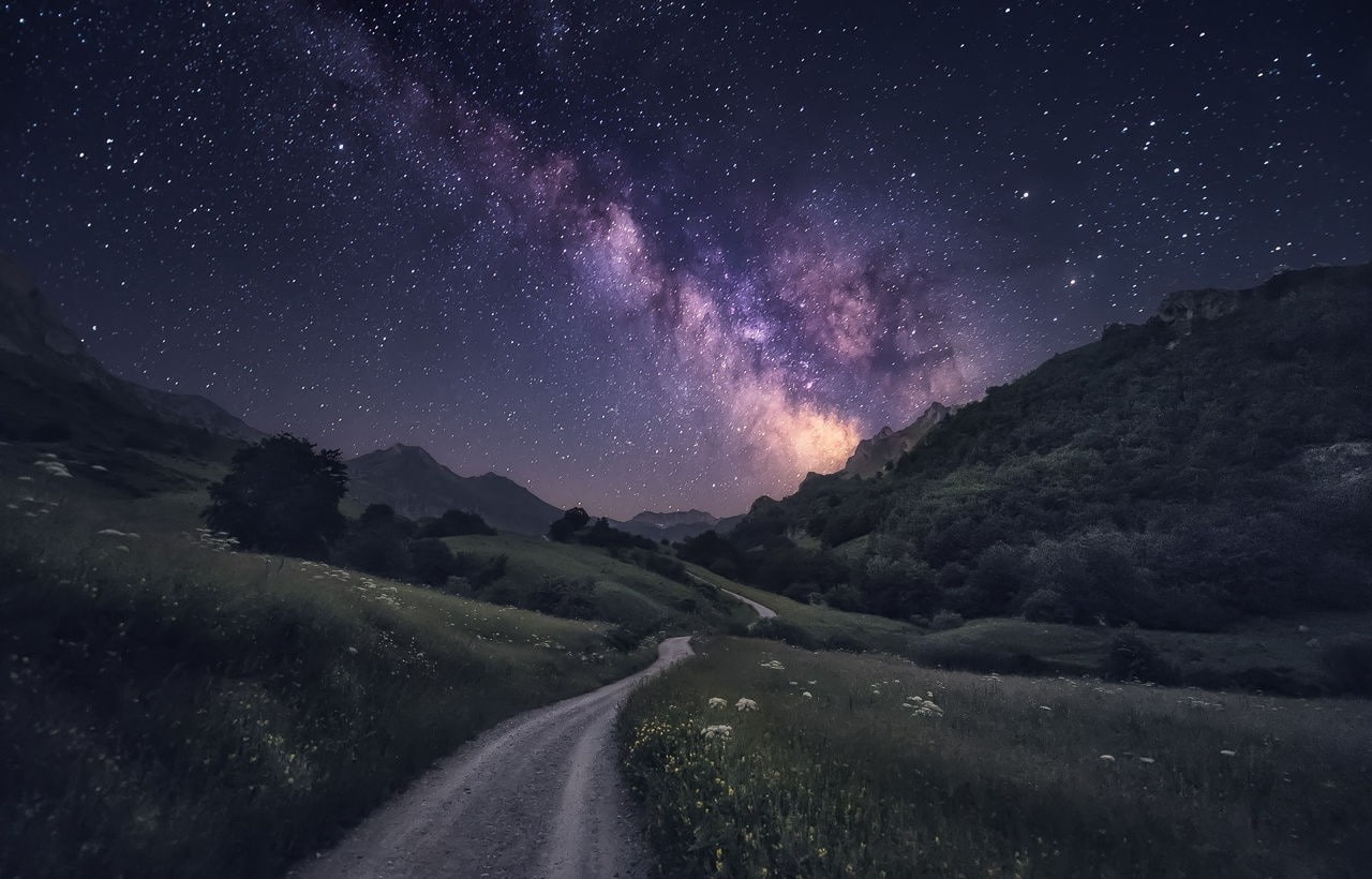 wildflowers, trees, grass, photography, long exposure, shrubs, nature, 720P, landscape, dirt road, Milky Way, starry night, Spain, mountains, HD Wallpaper