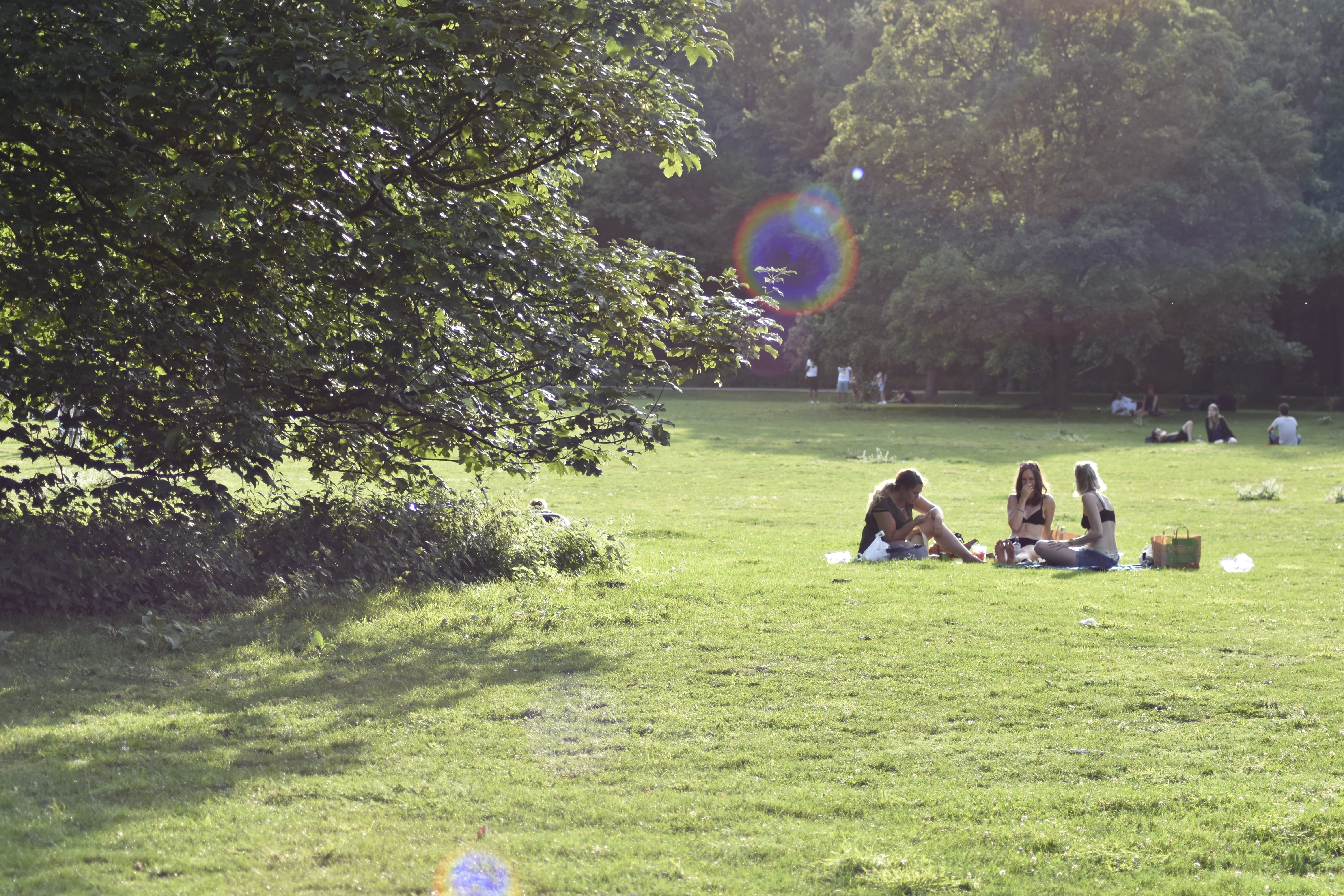 berlin, beauty in nature, park - man made space, people, germany, nature, adult, plant, 5K, sitting, outdoors, growth, leisure activity, sunlight, real people, HD Wallpaper
