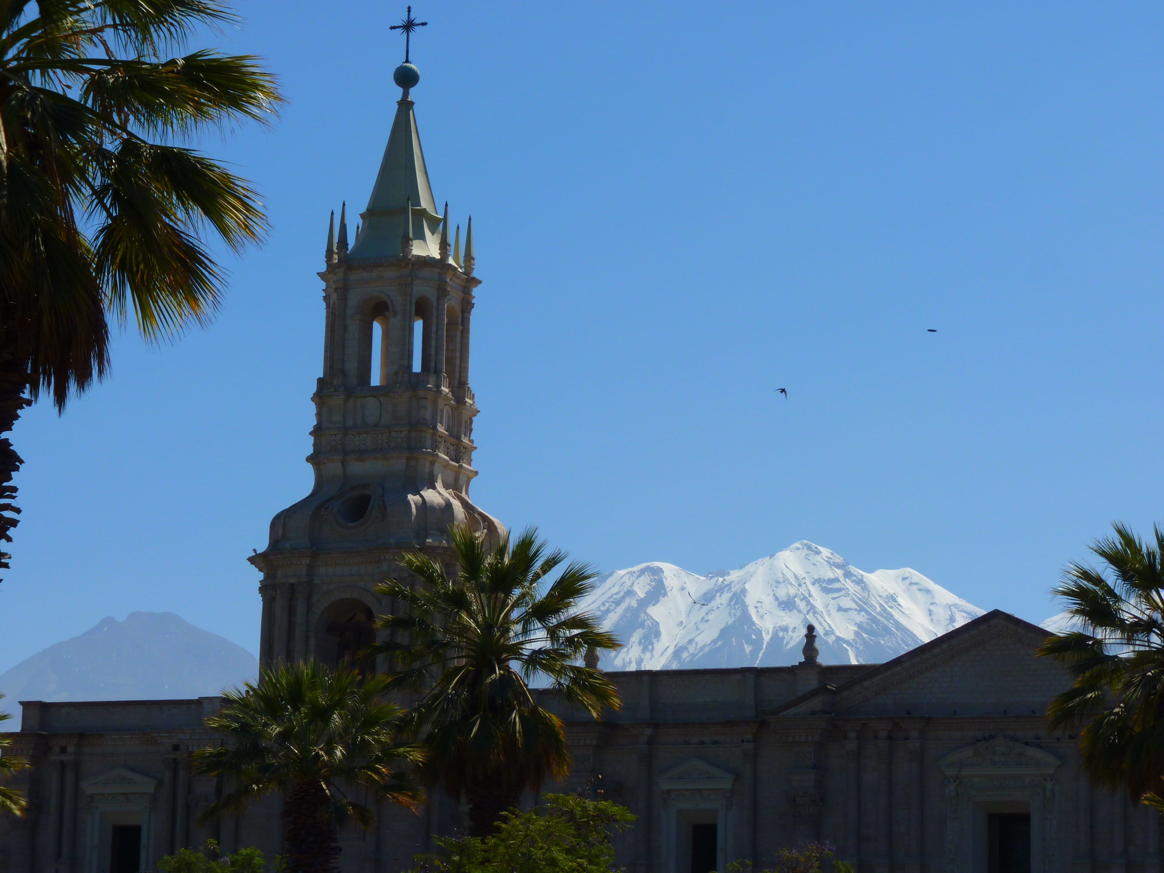 tree, clear sky, Armas, Church, cathedral, arequipa, palm tree, blue, spirituality, building exterior, no people, place of worship, religion, nature, Plaza, HD Wallpaper