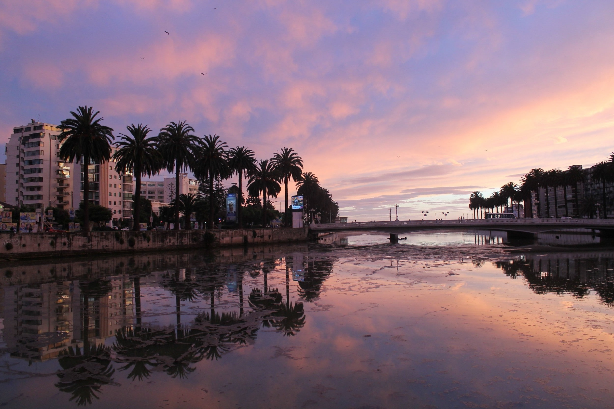 landscape photography nature sunset palm trees bridge building river reflection clouds architecture vina del mar chile, 1080P, HD Wallpaper