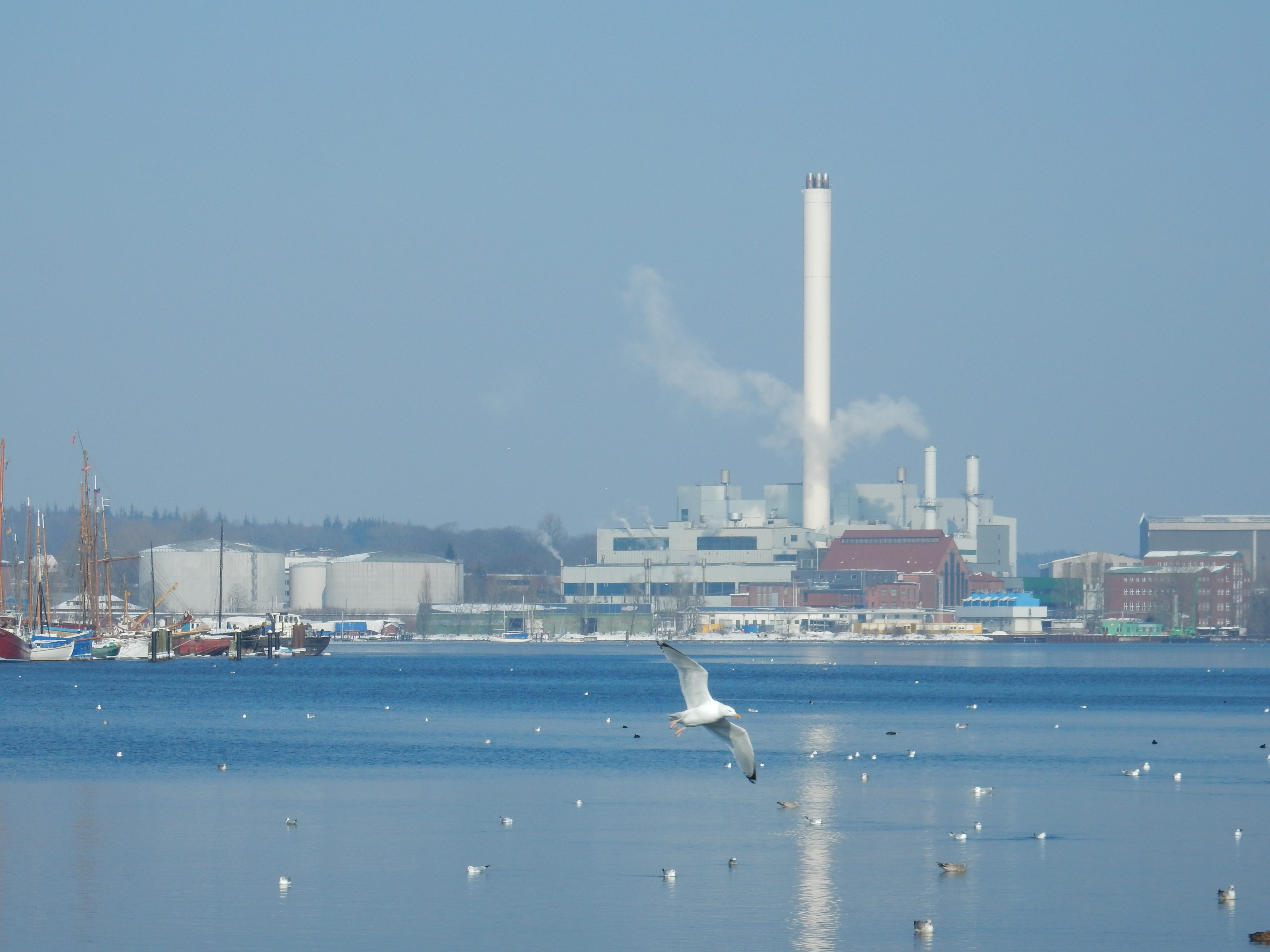 nature, flensburg, air pollution, 4K, factory, smoke stack, travel, animal, animals in the wild, bird, building, animal wildlife, mood, industry, blue, HD Wallpaper