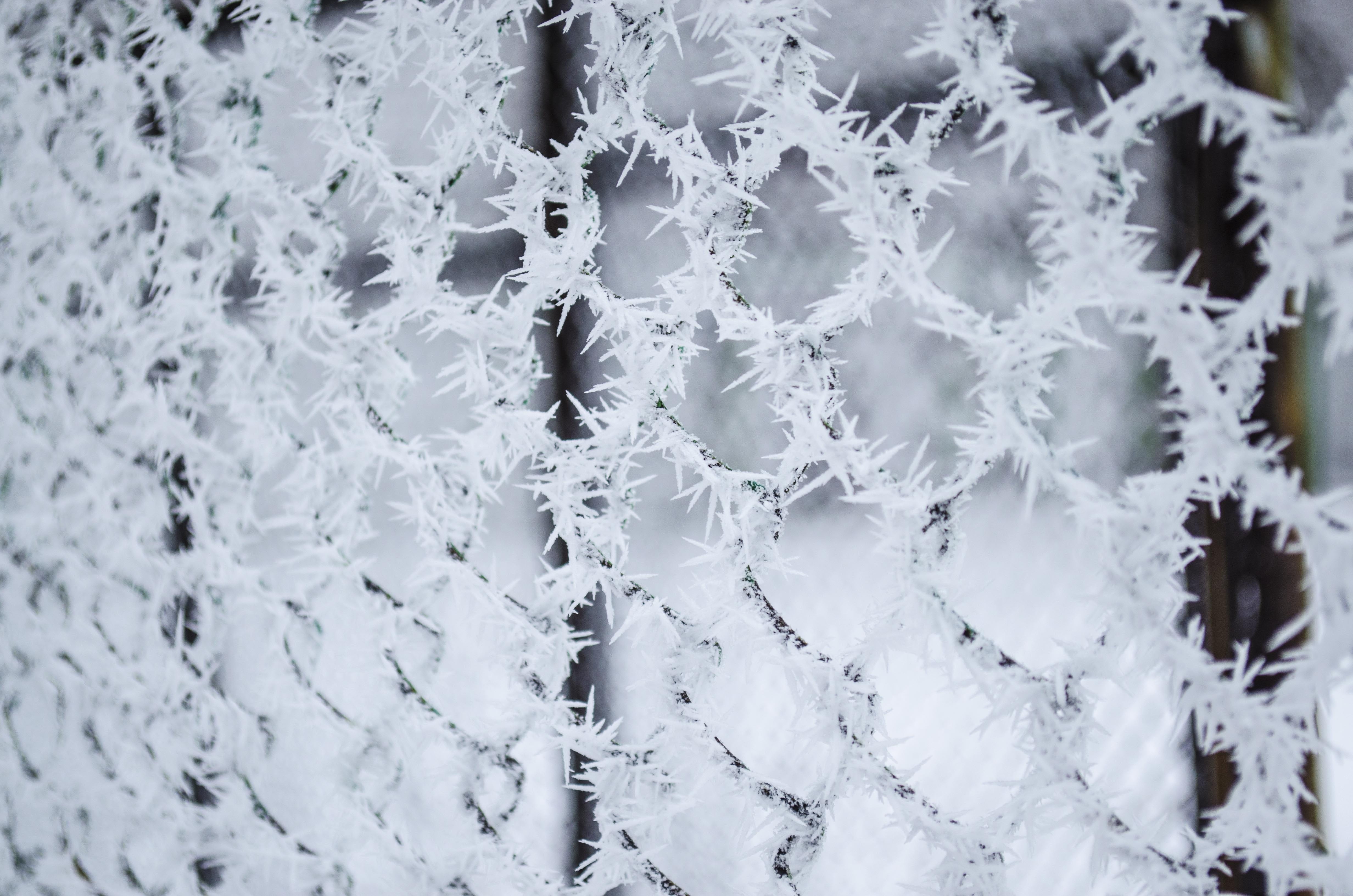 cold temperature, macro, frozen, leann, white color, icicle, backgrounds, no people, full frame, silence, pattern, white, zing, close-up, cold, 4K, window, HD Wallpaper