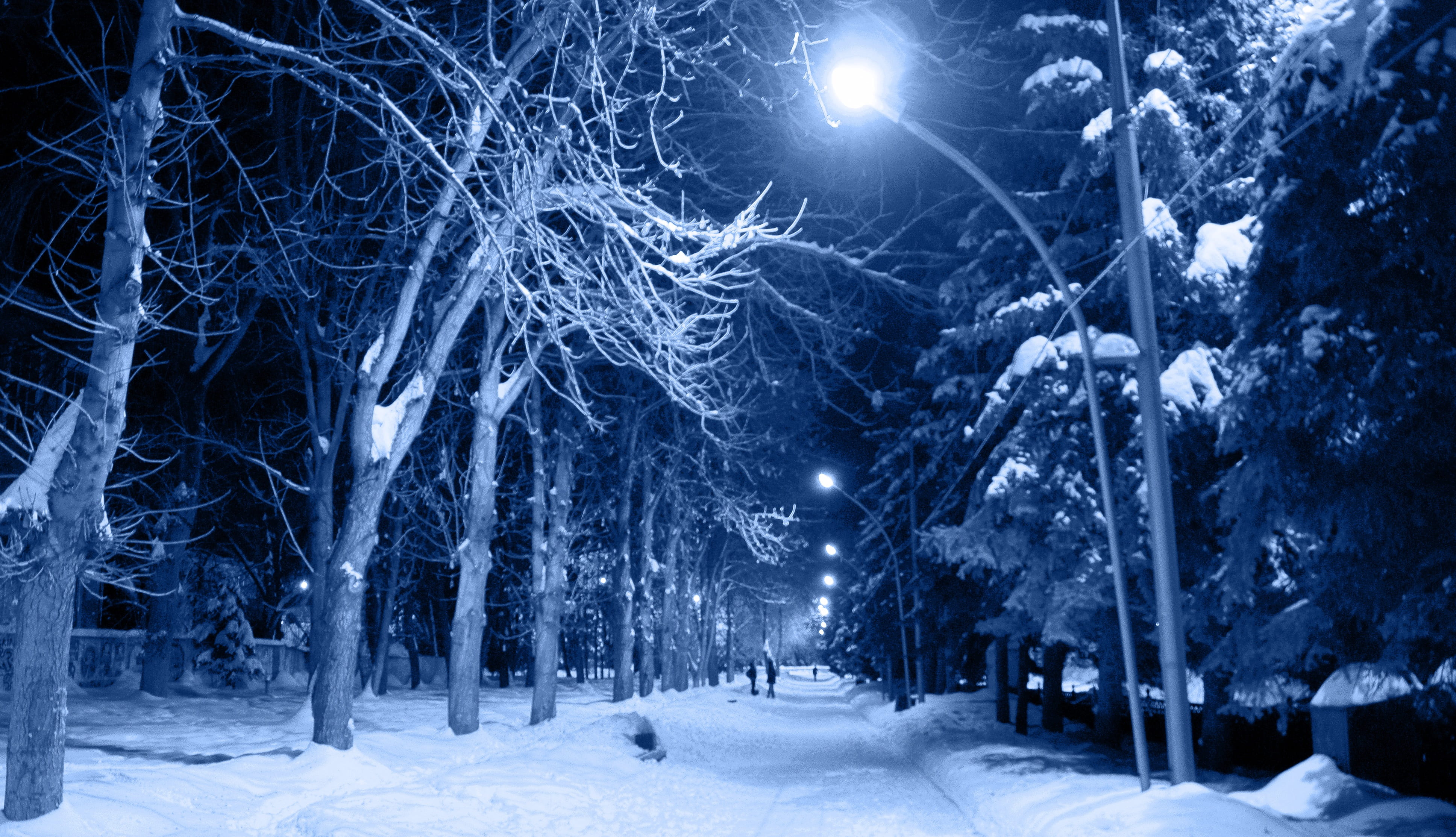environment, woodland, no people, frost, city, trees, land, night city, russia, winter, lantern, field, tree, snowing, two, frosty city, extreme weather, HD Wallpaper