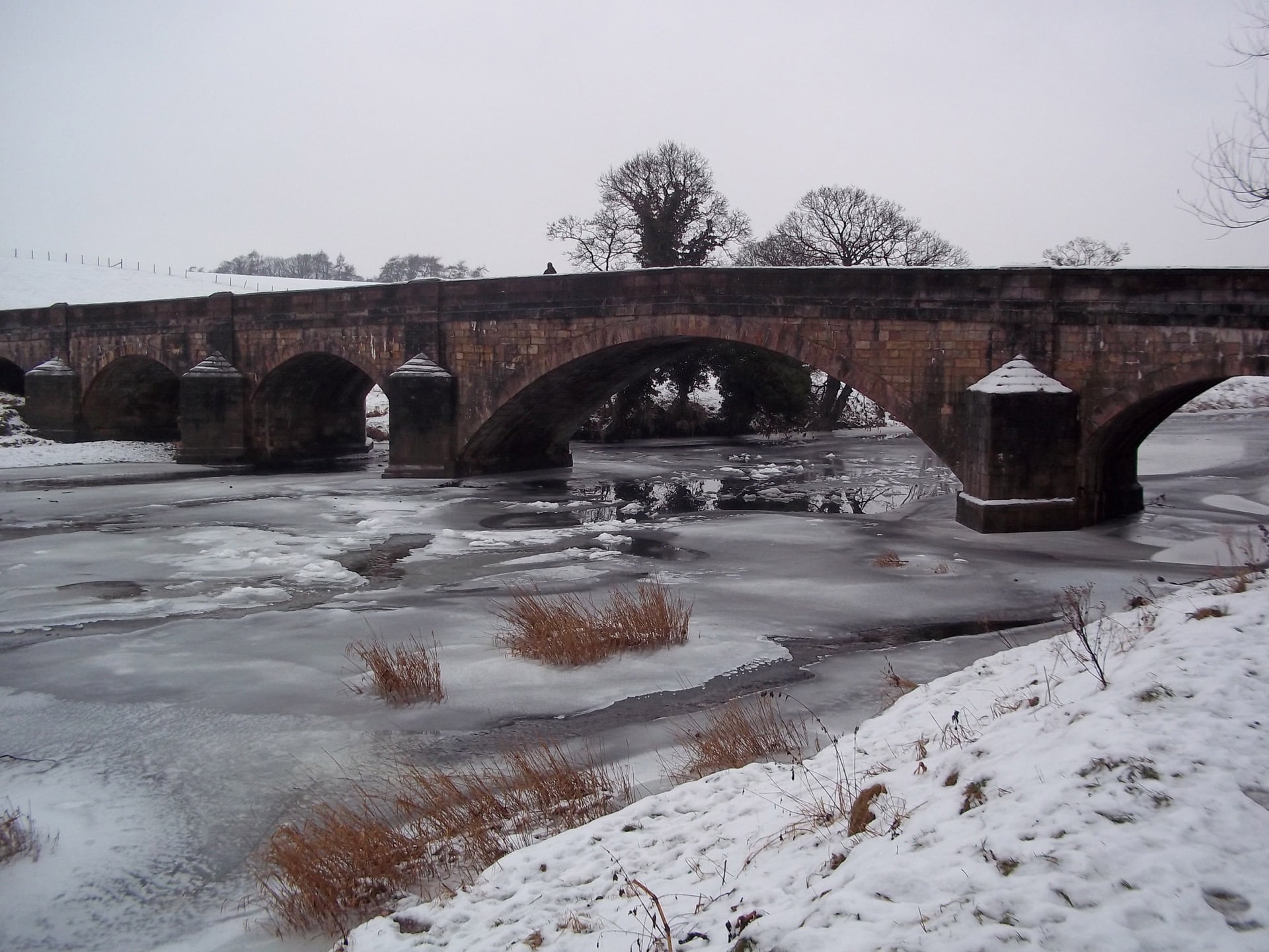 plant, connection, ze, cold temperature, flowing water, frozen, climate, sky, architecture, snow, tranquility, bridge - Man Made Structure, snowfall, scenic, HD Wallpaper