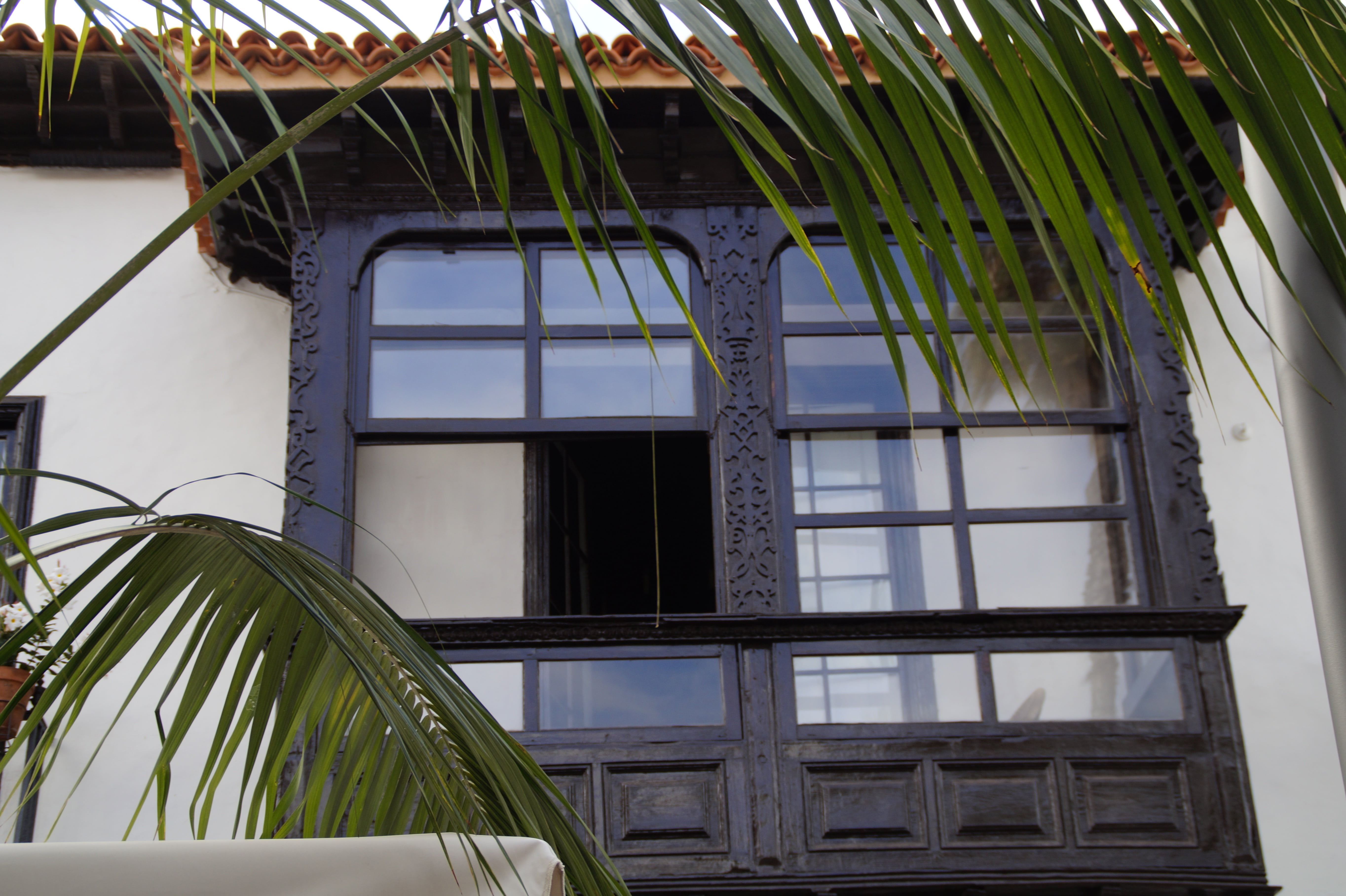 glazed, exotic, wood, building, bay window, palm leaf, live, luxury, built structure, plant, low angle view, tree, balcony, facade, residence, green color, HD Wallpaper