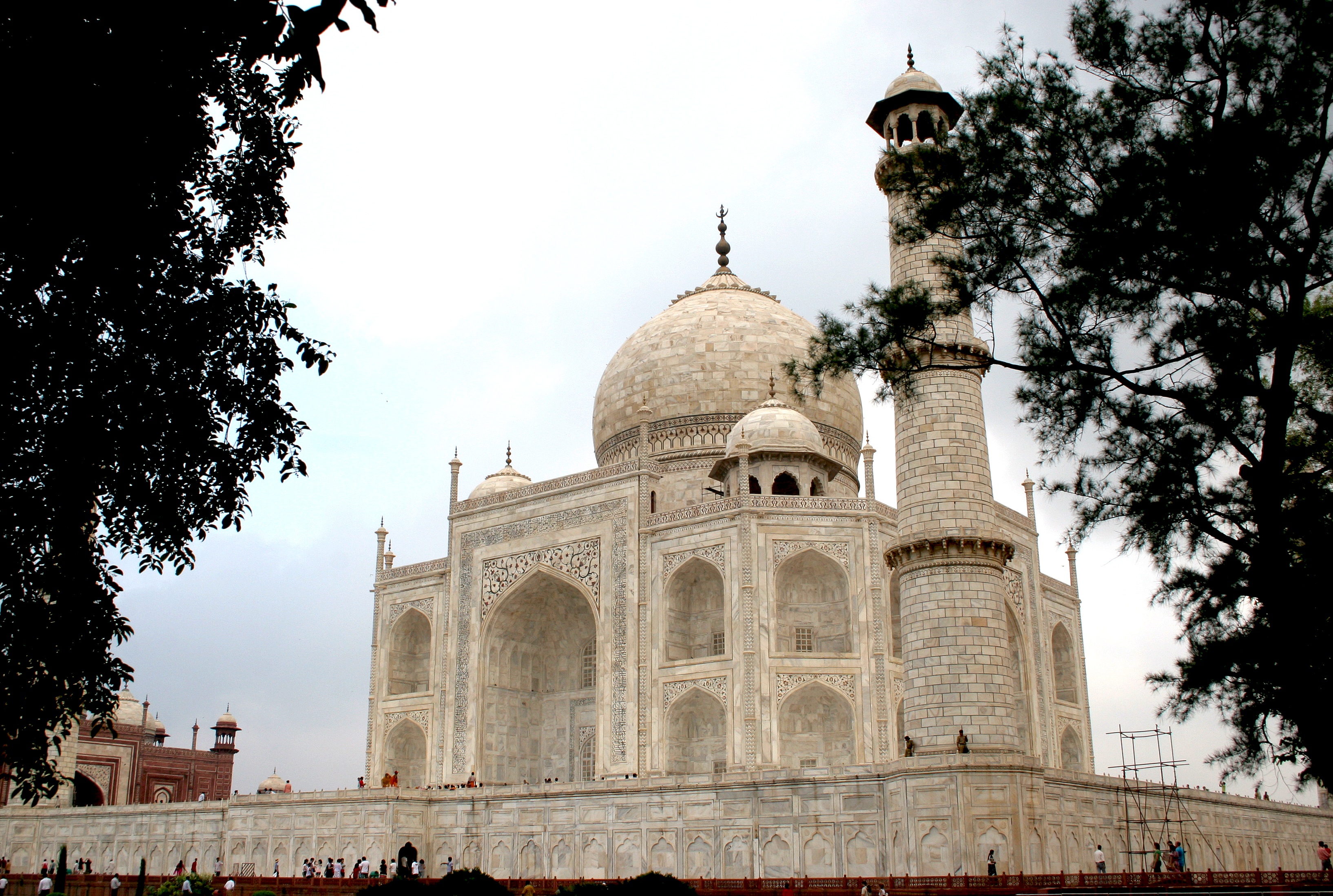 tree, city, built structure, historic, plant, sky, tourism, travel destinations, architecture, india, religion, structure, taj mahal, white, nature, dome, HD Wallpaper