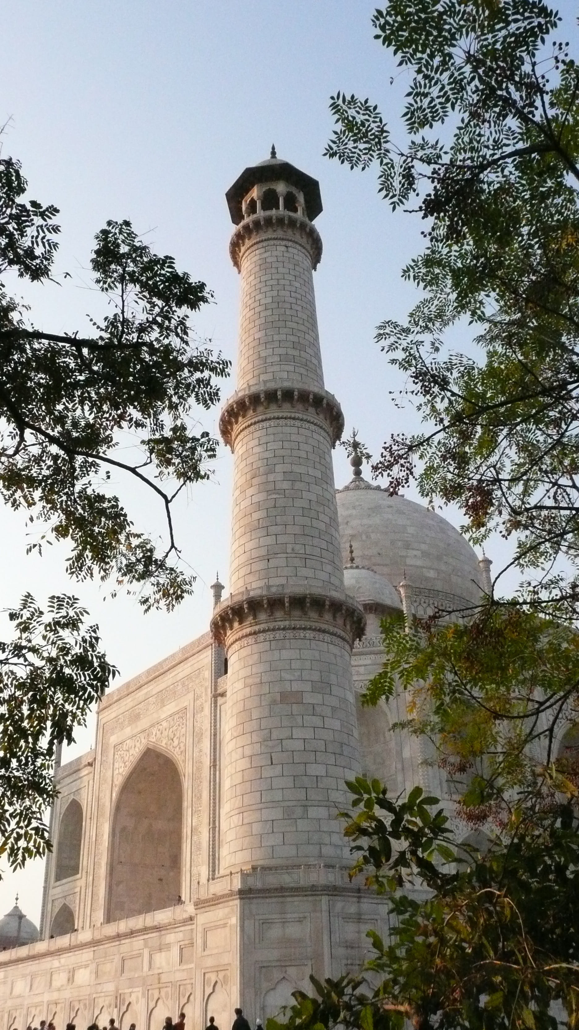 2K, the past, plant, india, tourism, clear sky, built structure, taj mahal, low angle view, outdoors, nature, tower, building, tree, history, monument, Phone HD Wallpaper