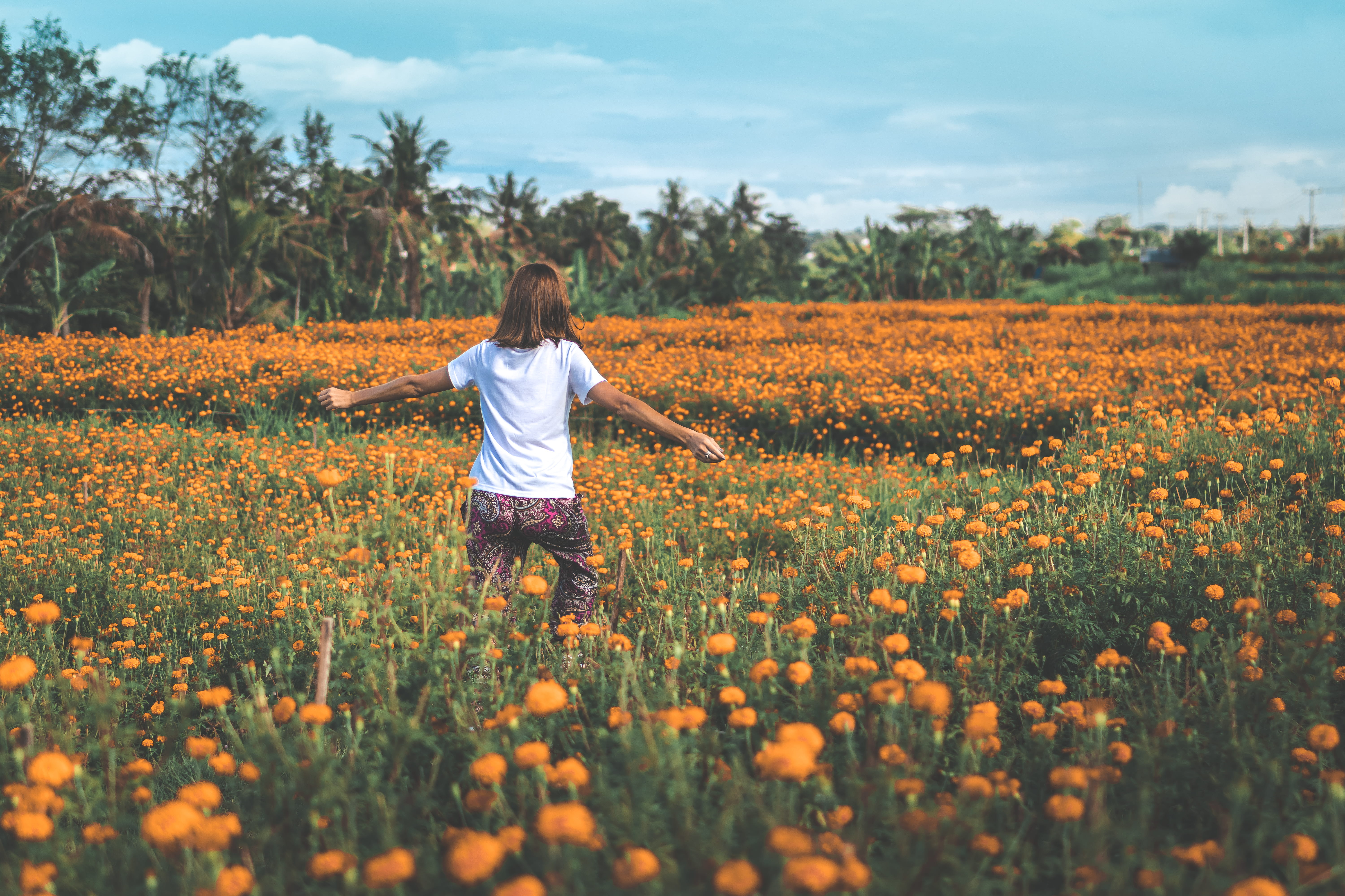 nature, rear view, casual clothing, garden, land, leisure activity, woman, flower, open, orange, sky, wide, 5K, landscape, real people, one person, cloud - sky, HD Wallpaper