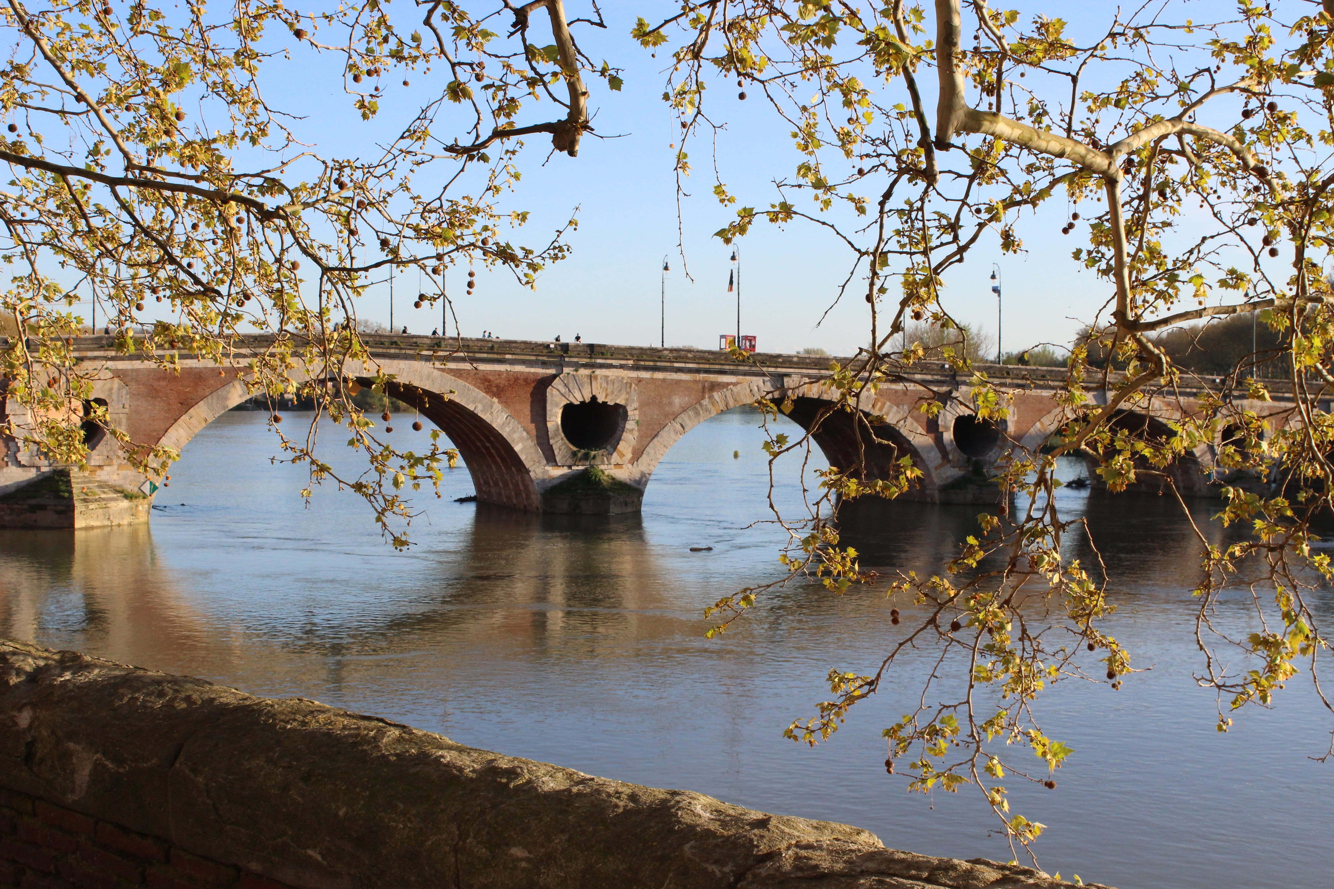 Bridge, arched, architecture, transportation, water, 5K, branch, arch bridge, Garonne, outdoors, France, reflection, tree, built structure, bridge - man made structure, HD Wallpaper