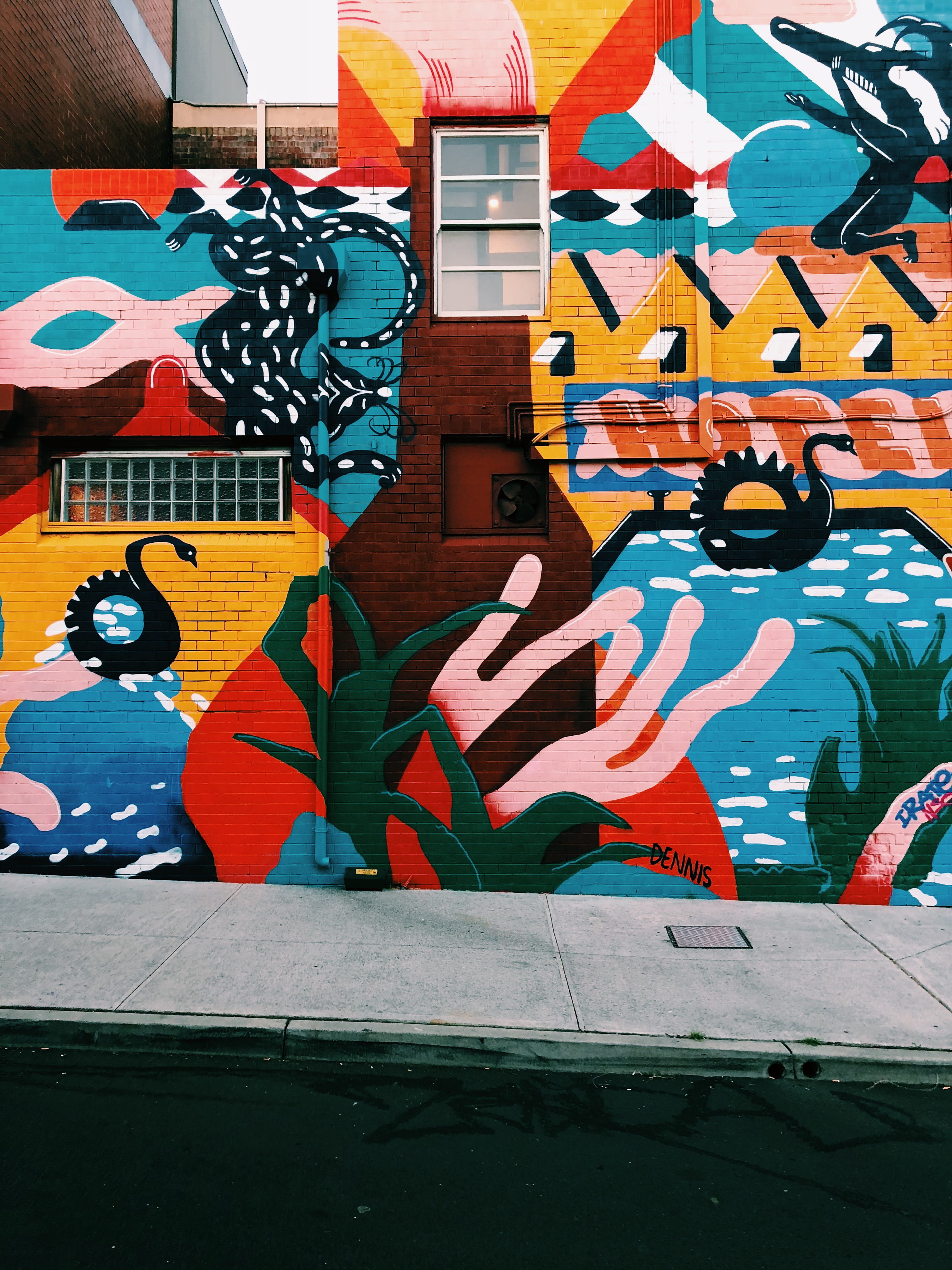 graffiti, outdoors, street art, australia, mural, architecture, orange color, art, art and craft, built structure, city, creativity, 4K, multi colored, Phone HD Wallpaper