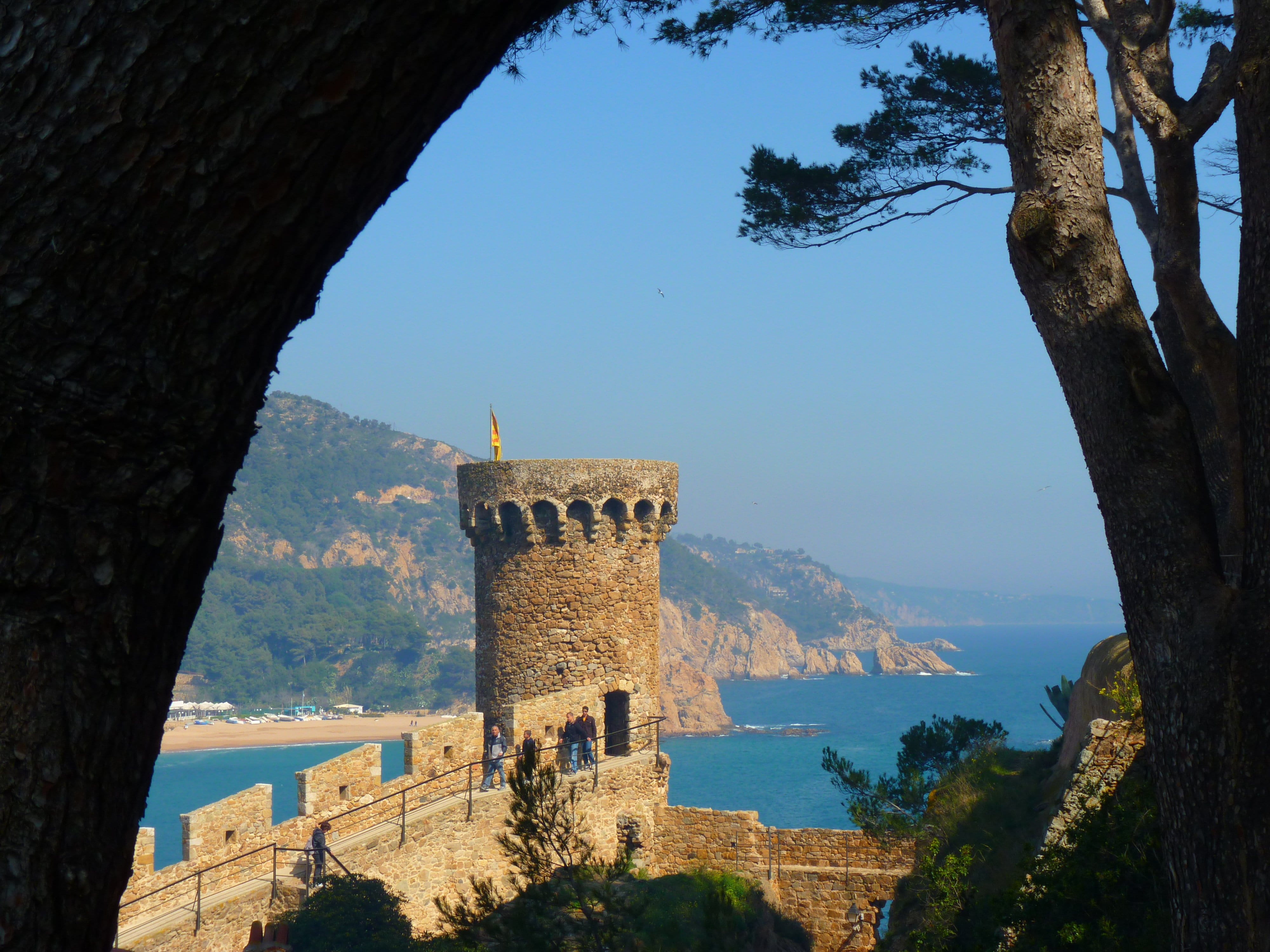 Tower, sea, tree trunk, history, outdoors, tree, castle, no people, fort, building exterior, Spain, tourism, plant, travel, sky, nature, ocean, clear sky, HD Wallpaper