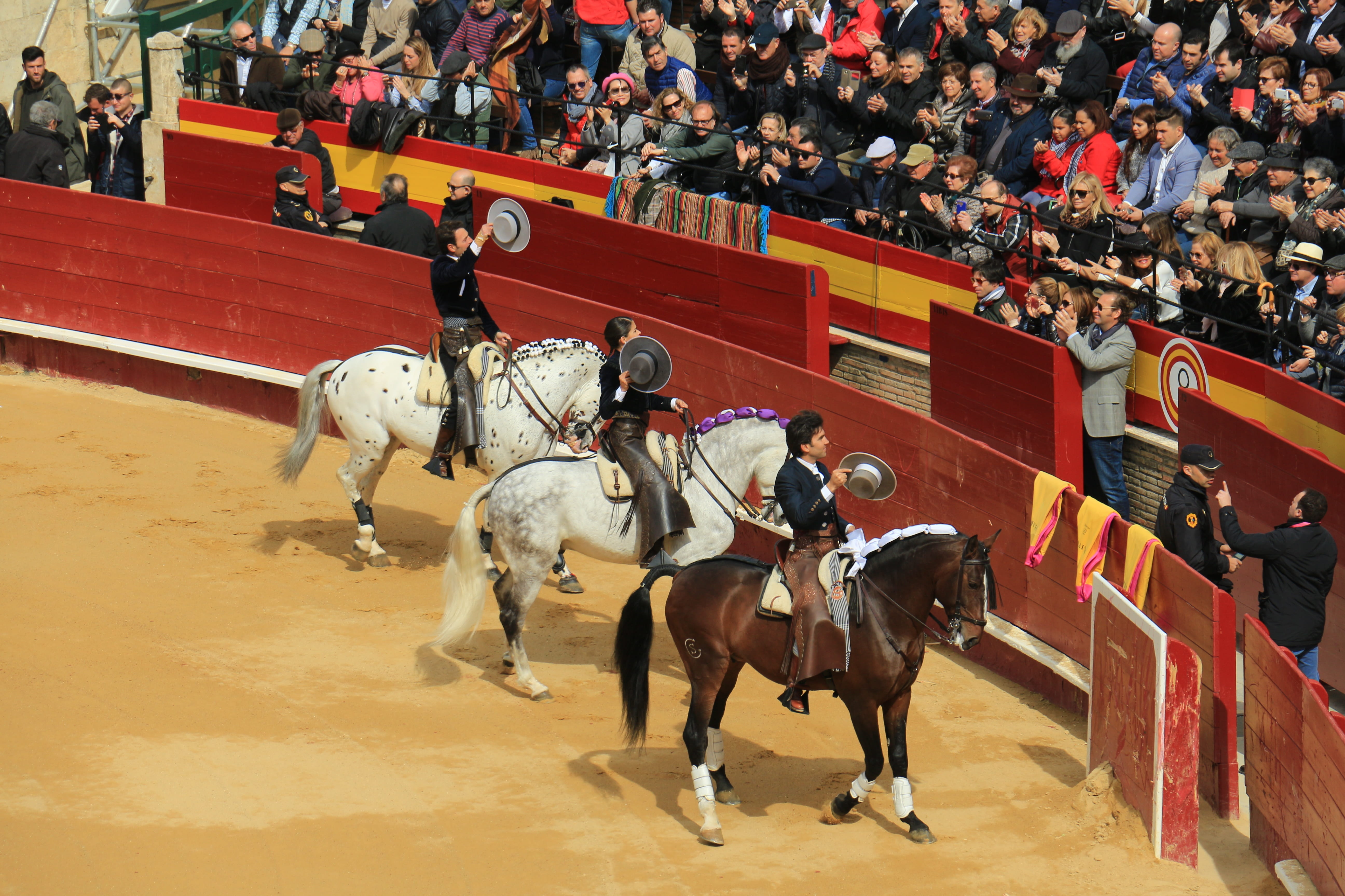 group of animals, livestock, crowd, vertebrate, 5K, bullring, domestic, group of people, activity, large group of people, spectator, outdoors, men, riding, HD Wallpaper