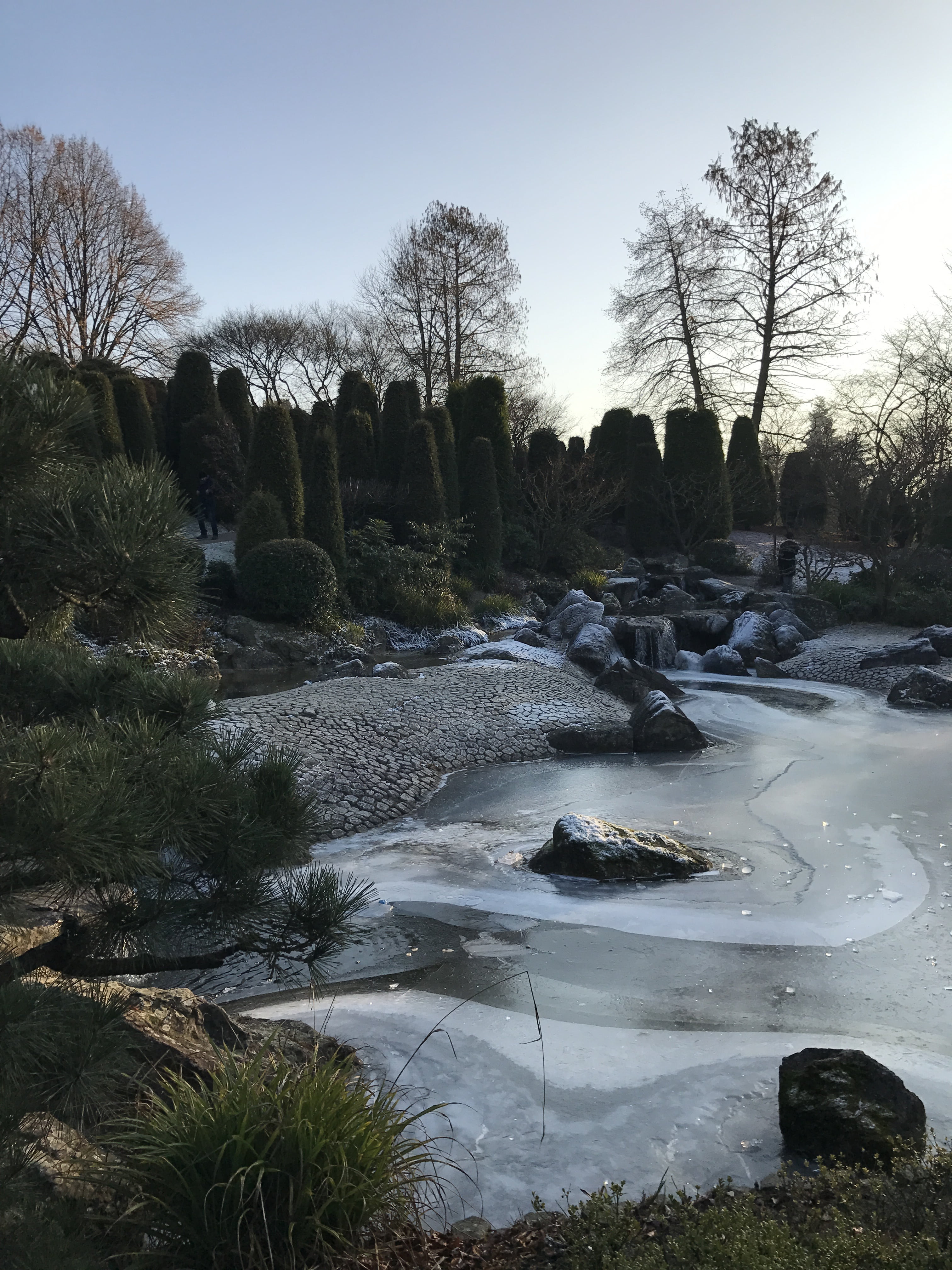 places of interest, flowing water, outdoors, rock, sky, water, day, rock - object, bonn, plant, nature, land, park, tranquil scene, japanese, garden show, Phone HD Wallpaper
