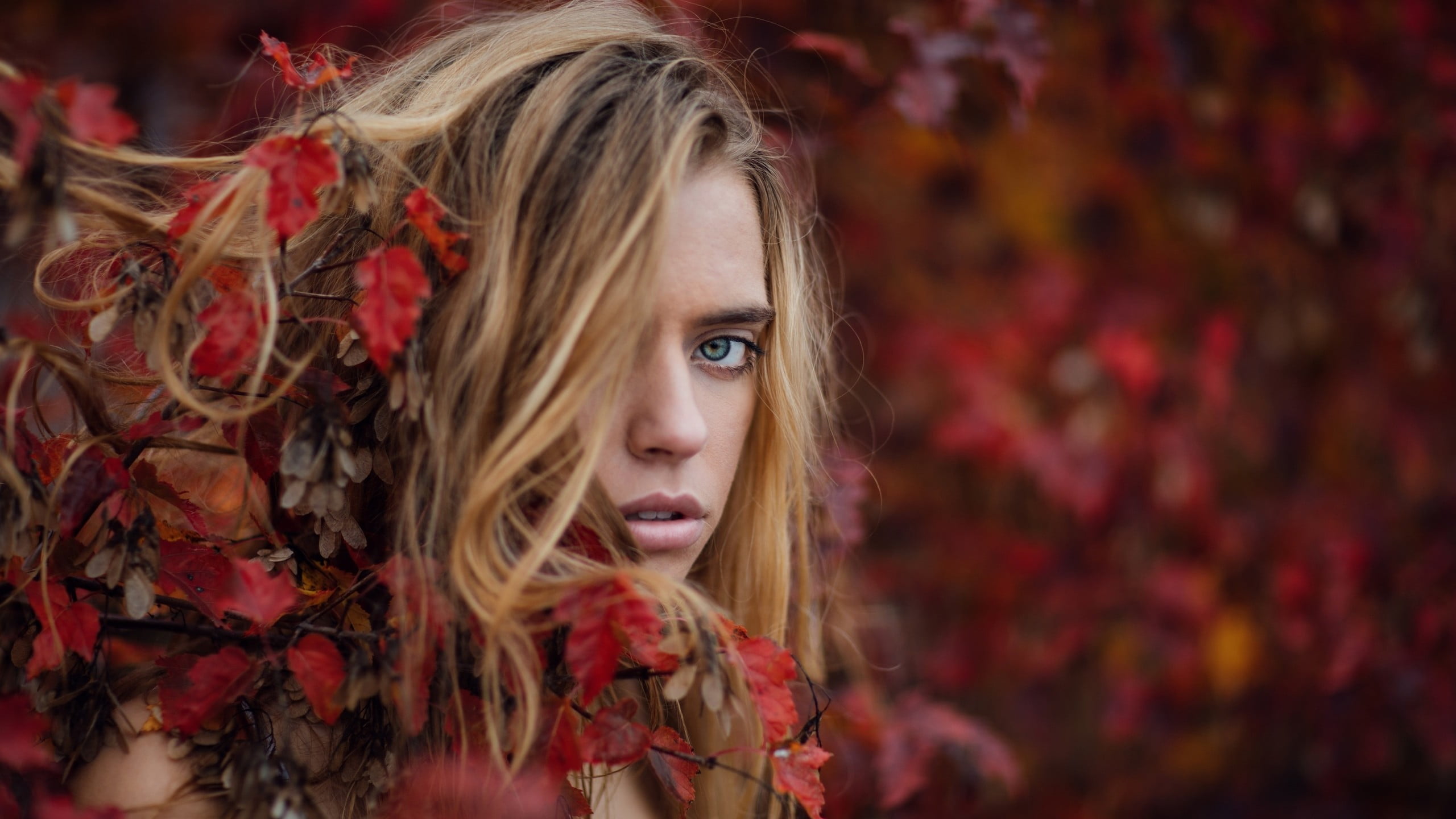 contemplation, blonde, hair in face, hair, young women, human hair, leaf, young adult, blue eyes, human body part, leaves, change, open mouth, adult, autumn, HD Wallpaper