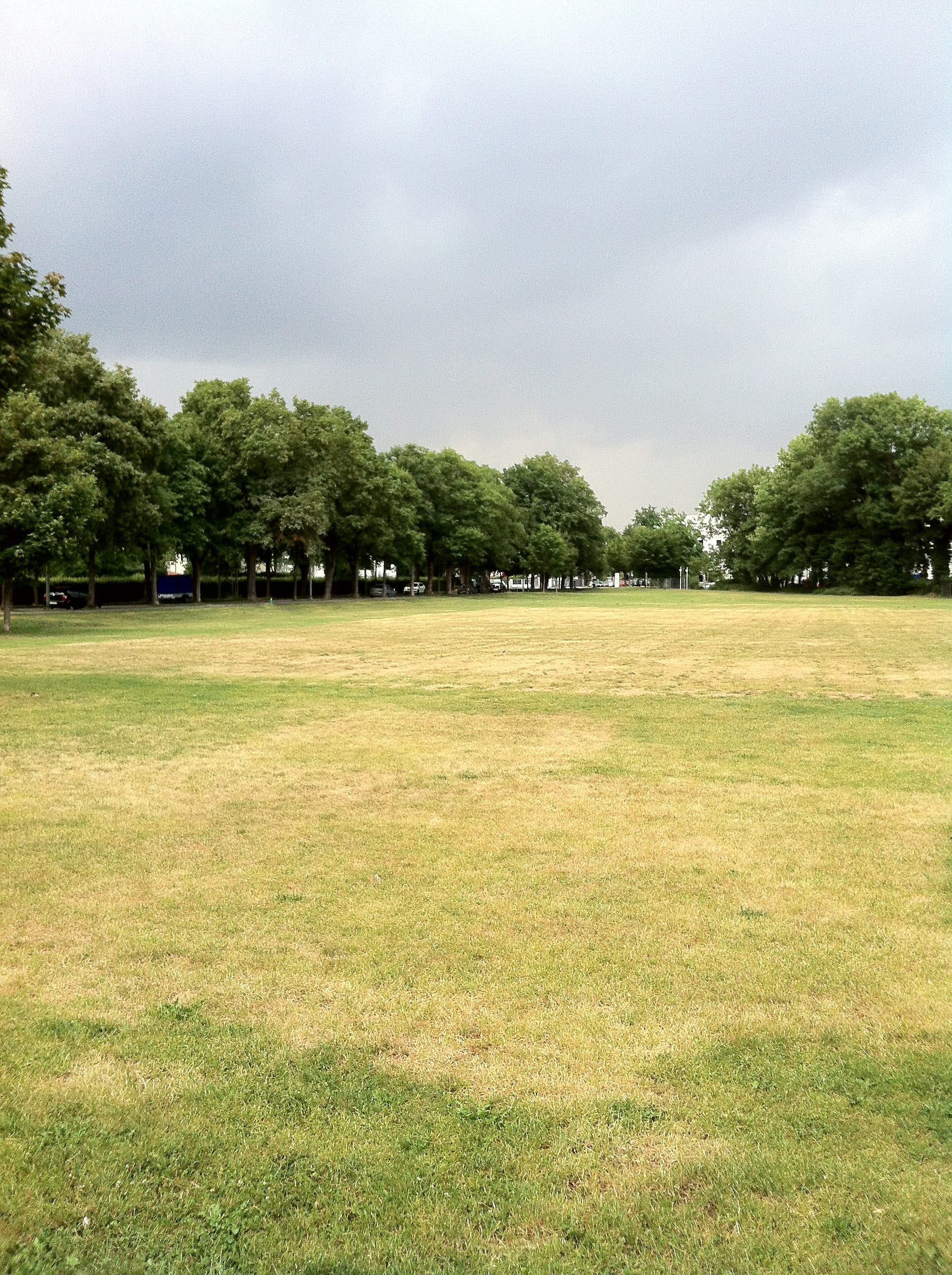 green color, no people, land, surface, environment, 2K, growth, yellow, gray clouds, green, day, yellowish grass, nature, rush, bolzplatz, gewitterstimmung, Phone HD Wallpaper