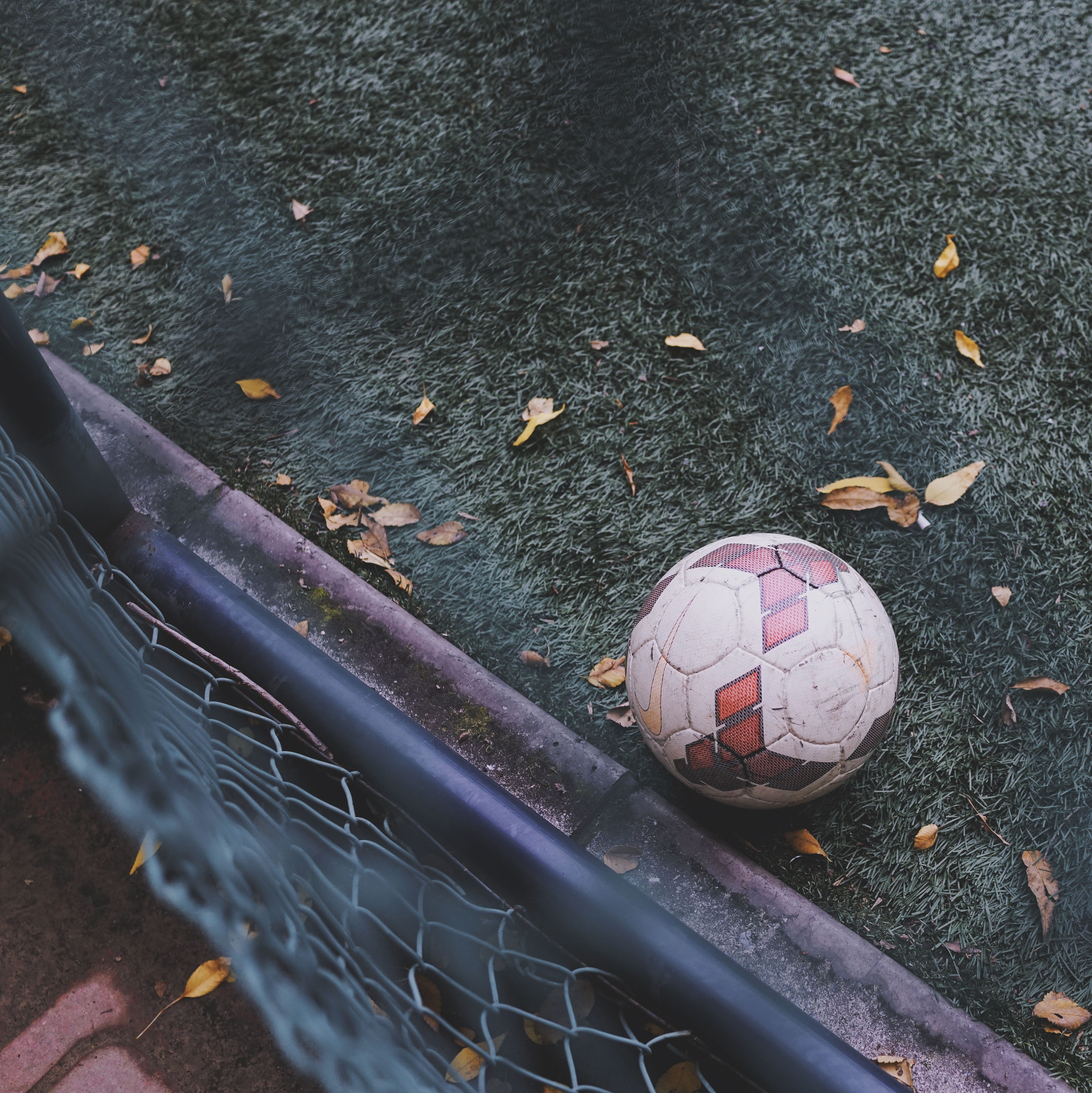 leaf, beside, high angle view, no people, close-up, court, nature, green, autumn, ball, fence, game, white, outdoors, plant part, football, damaged, road, Phone HD Wallpaper