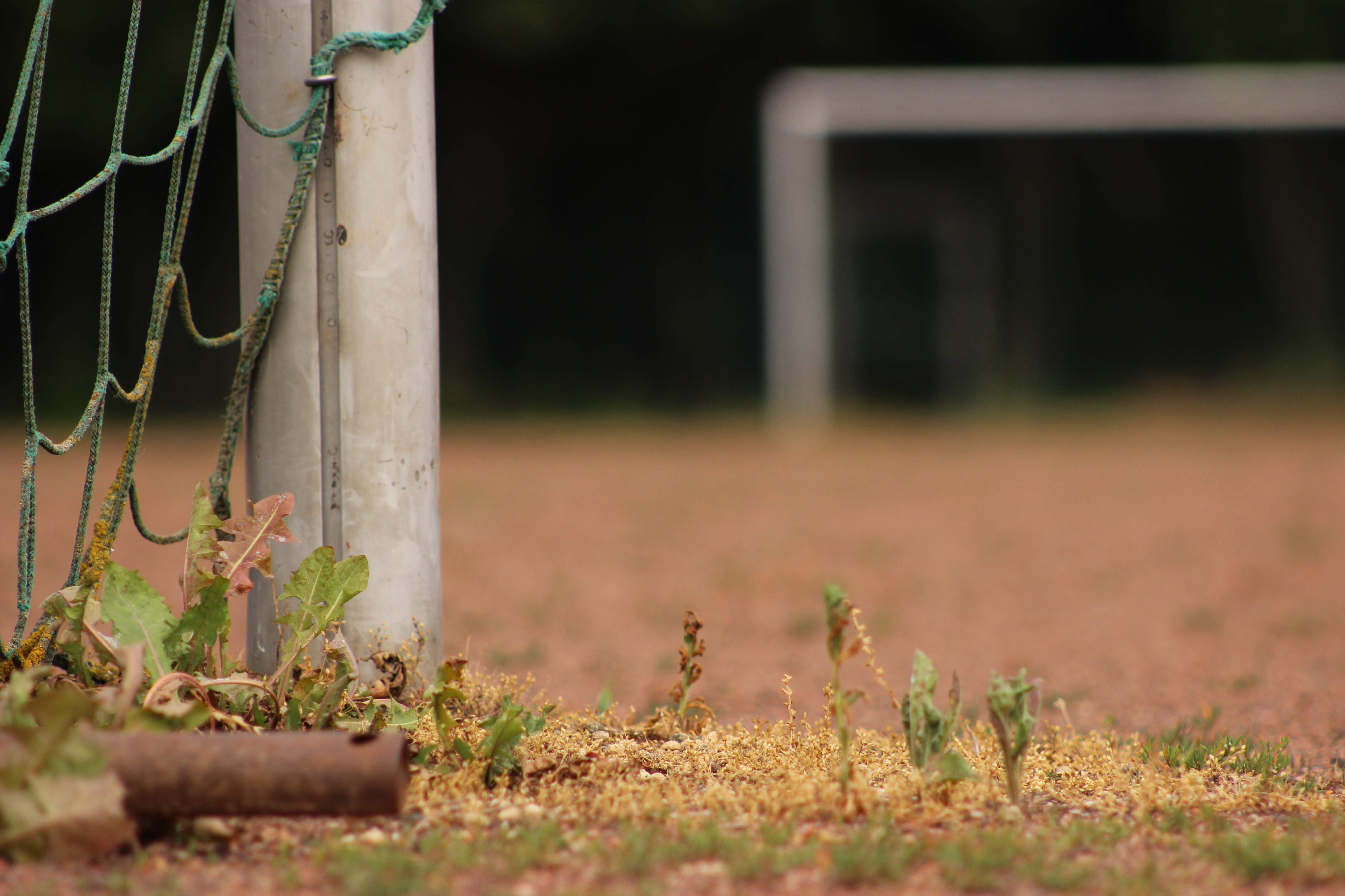 ball sports, selective focus, goal net, old, football pitch, 5K, close-up, sports ground, fence, rusty, nature, boundary, weathered, plant, post, day, HD Wallpaper