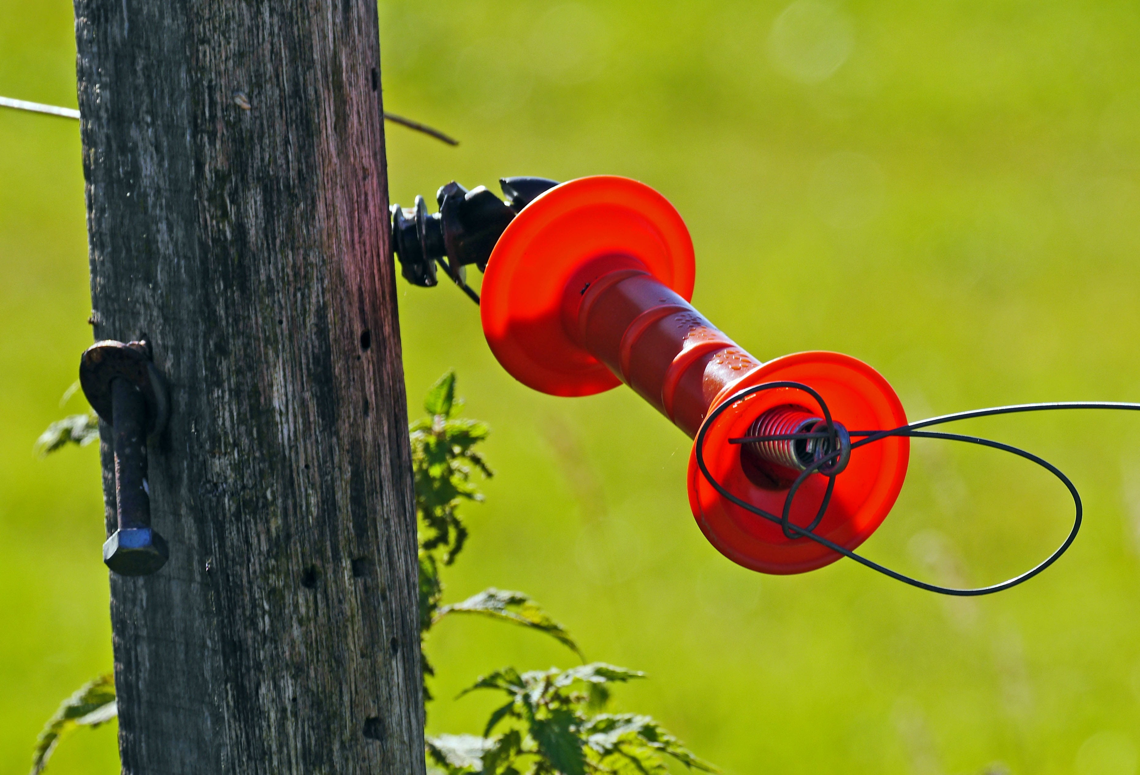 opening, goal, 2K, focus on foreground, protection, handle, red, tree trunk, tree, safety, feather, outdoors, wood - material, nature, technology, fence, HD Wallpaper