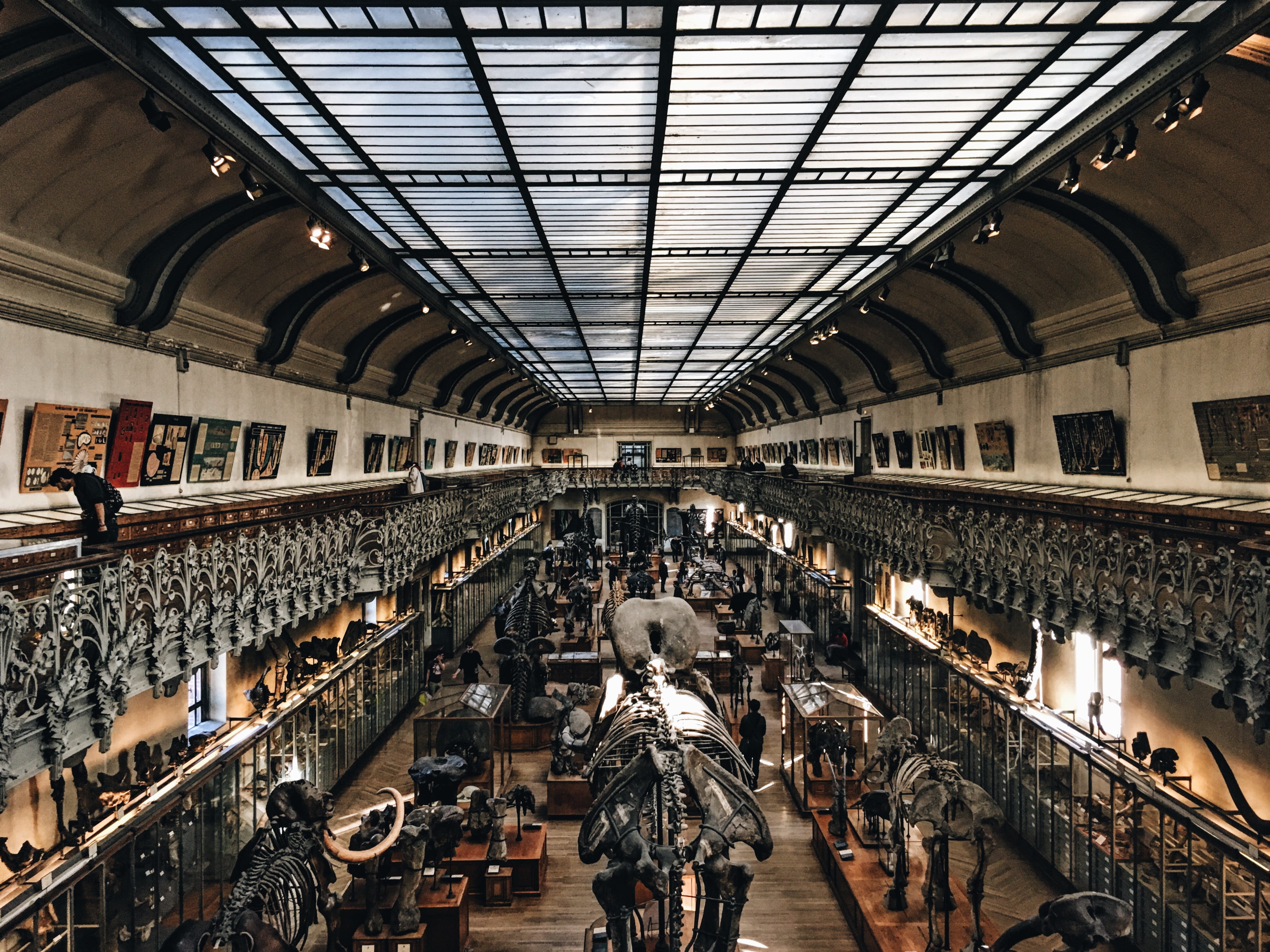 travel, indoors, ceiling, museum, crowd, day, people, walking, 4K, women, lifestyles, transportation, arch, paris, skeleton, rear view, france, built structure, HD Wallpaper