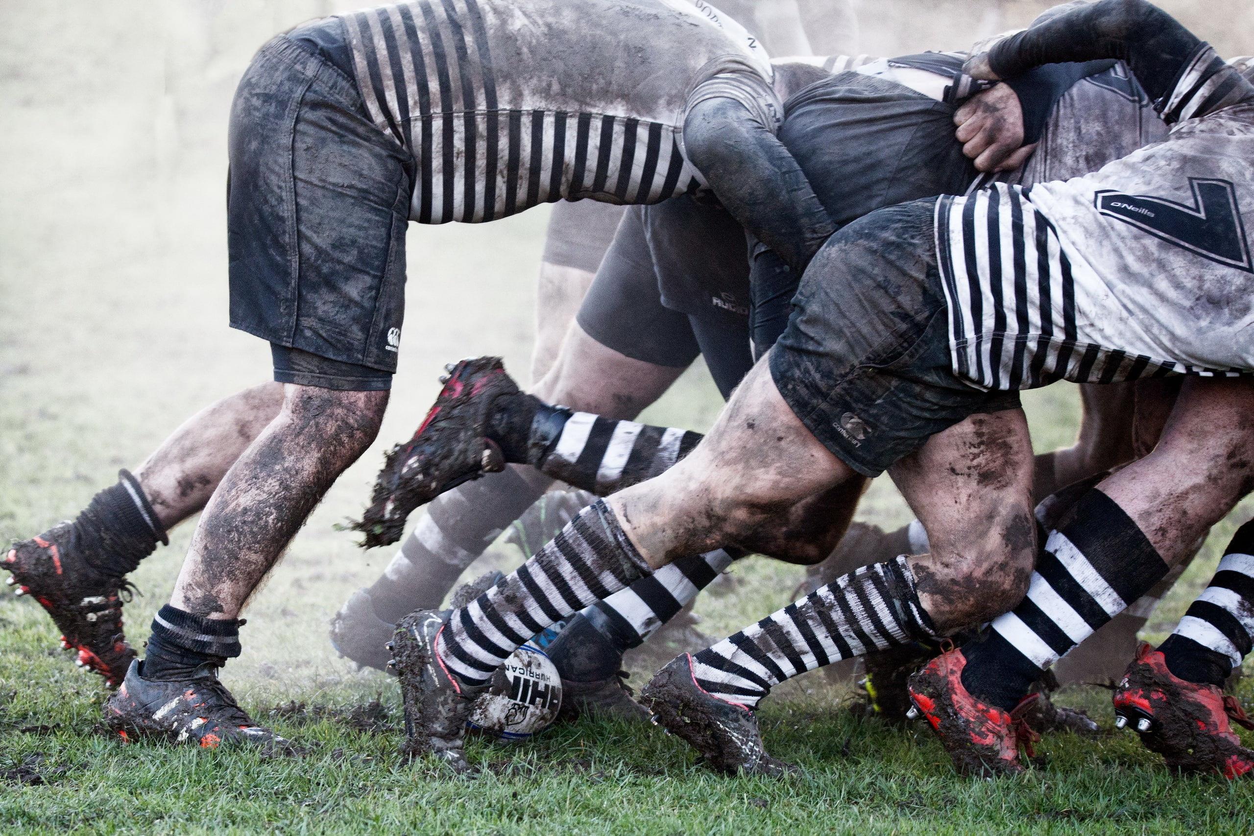 the game, sport, 2K, rugby, HD Wallpaper