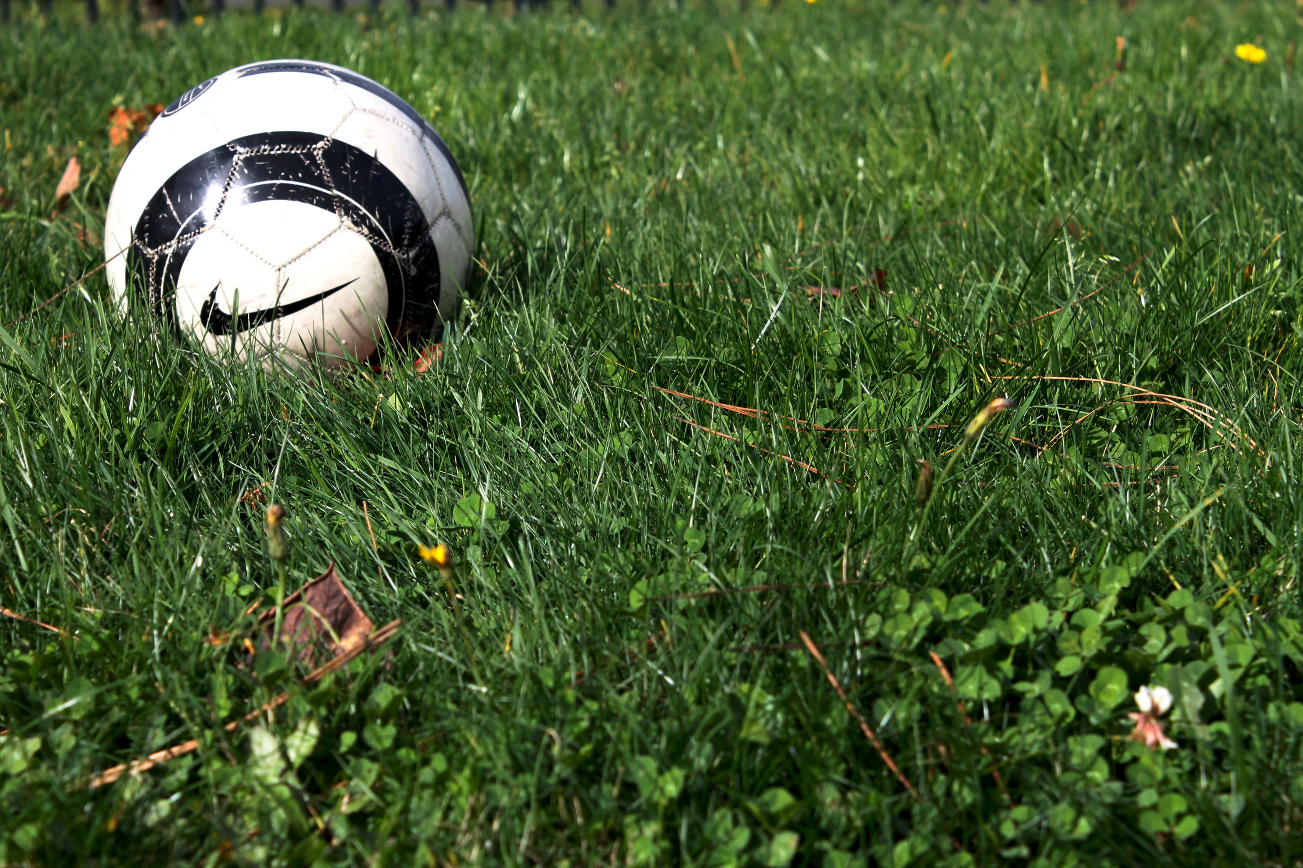 field, nike, goal, backgrounds, competitive Sport, ball, sports equipment, football - Ball, soccer Ball, plant, black, close-up, nature, stadium, meadow, HD Wallpaper