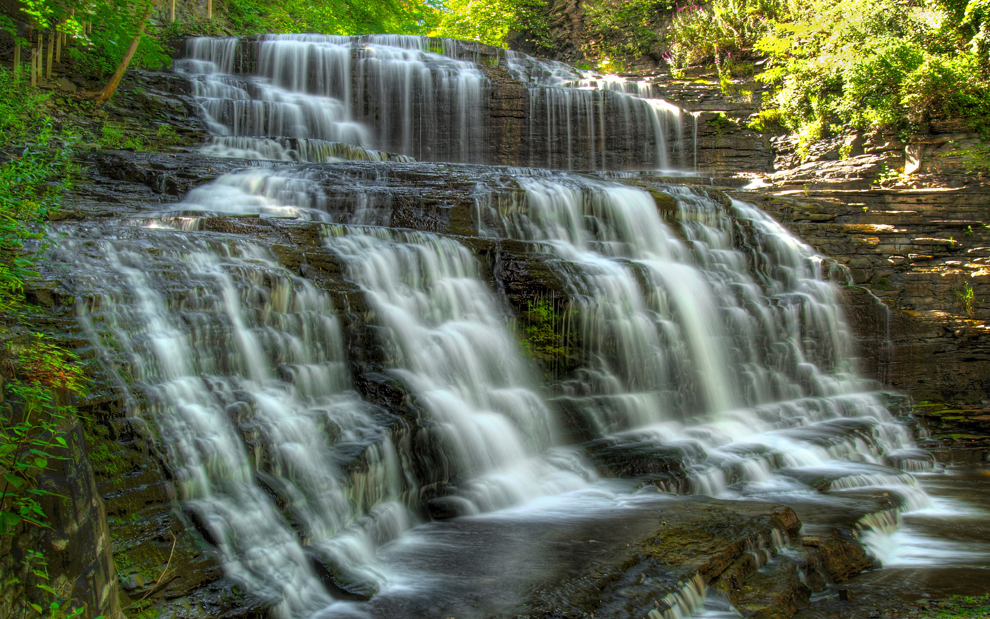 scenics - nature, plant, full, tree, university, outdoors, environment, motion, day, no people, falling water, power in nature, non-urban scene, flowing water, HD Wallpaper