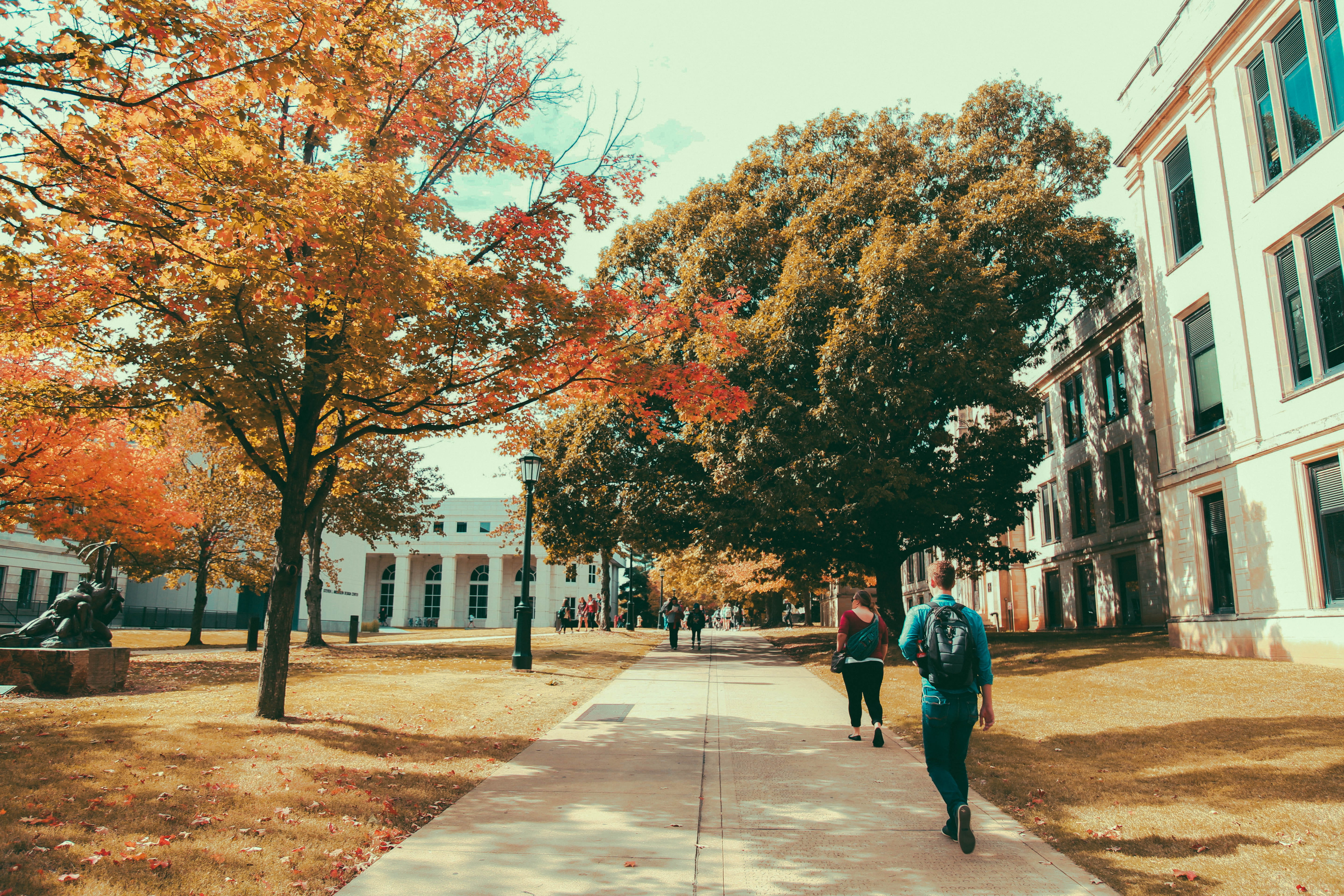 5K, real people, uofa, arkansas razorabacks, built structure, fall semester, change, walking, arkansas, building exterior, autumn, full length, leisure activity, HD Wallpaper