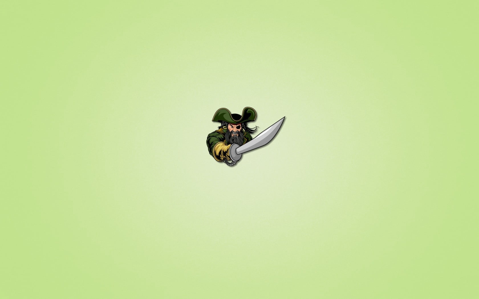 pirate, mid-air, vertebrate, backgrounds, studio shot, plant, close-up, fly, green background, summer, animal themes, bird, captain, yellow, light green background, HD Wallpaper