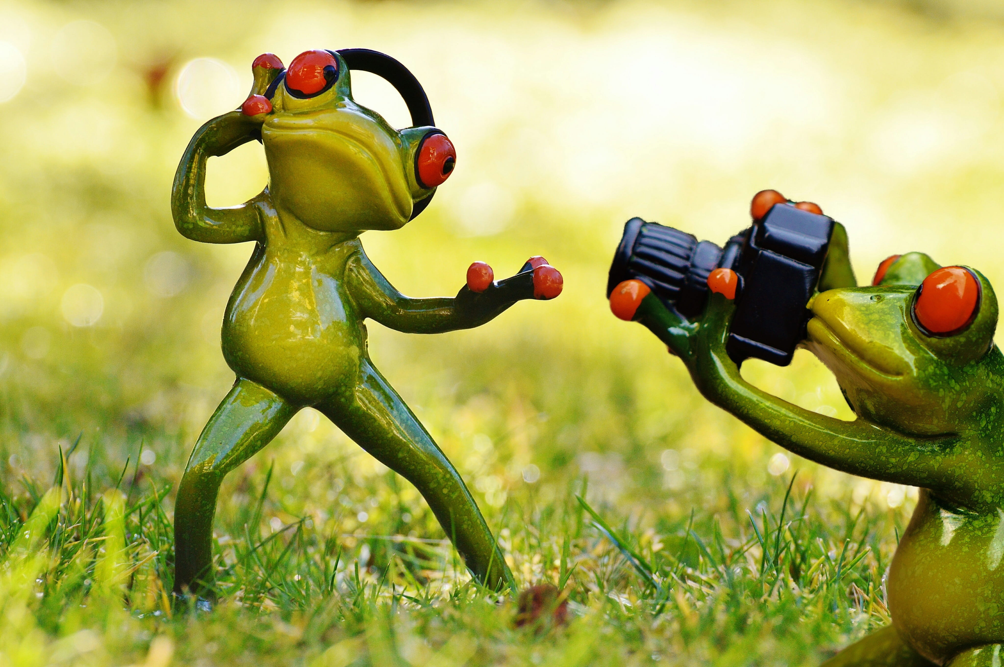 robot, alien, green, still life, photo shoot, 4K, field, plant, plastic, selective focus, cute, representation, outdoors, no people, figurine, close-up, HD Wallpaper
