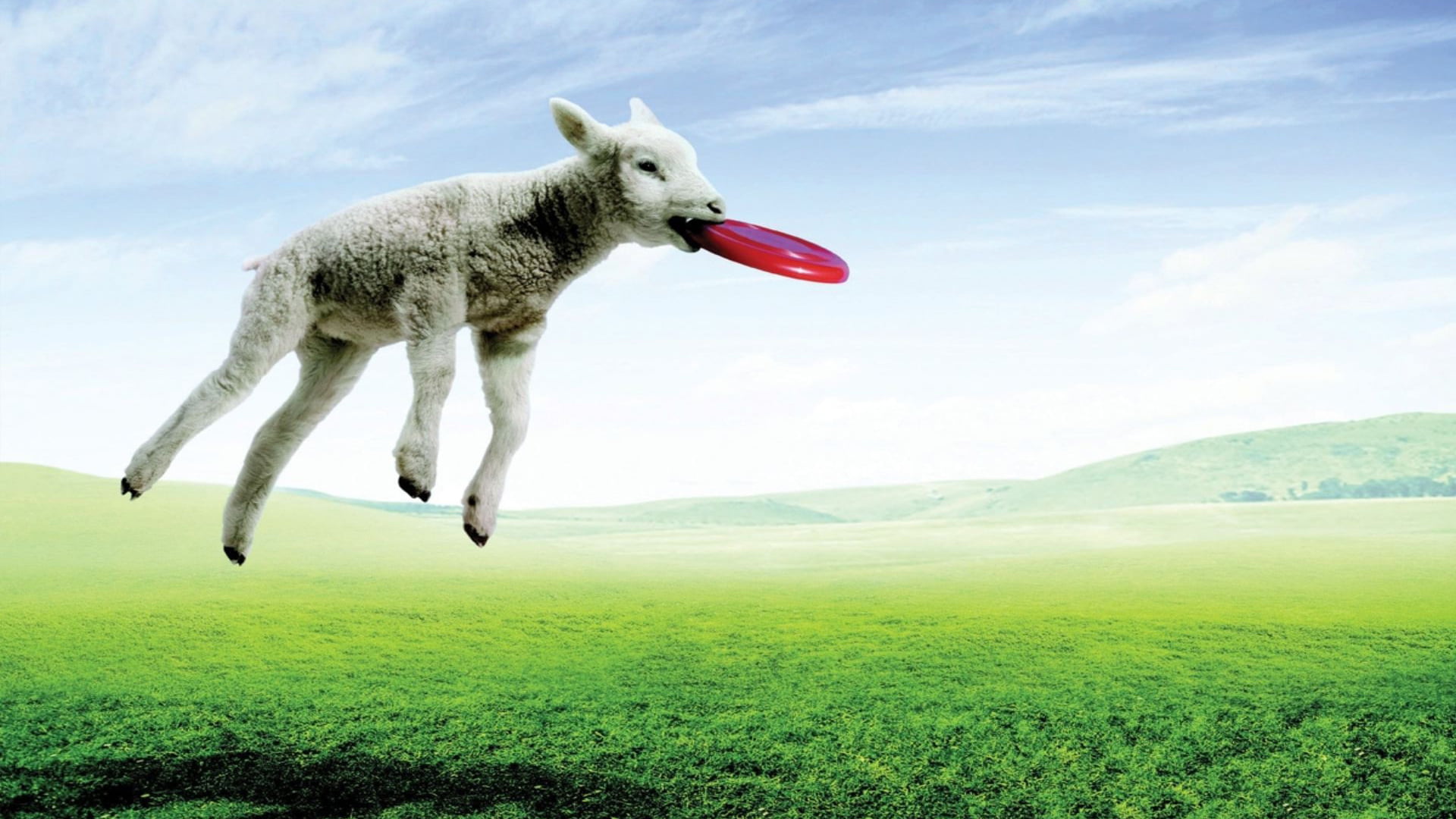 horizon, mammal, grassland, full length, scenic, mid-air, outside, plant, tree, animal themes, outdoor, green color, scenery, clouds, jumping, lawn, white, HD Wallpaper