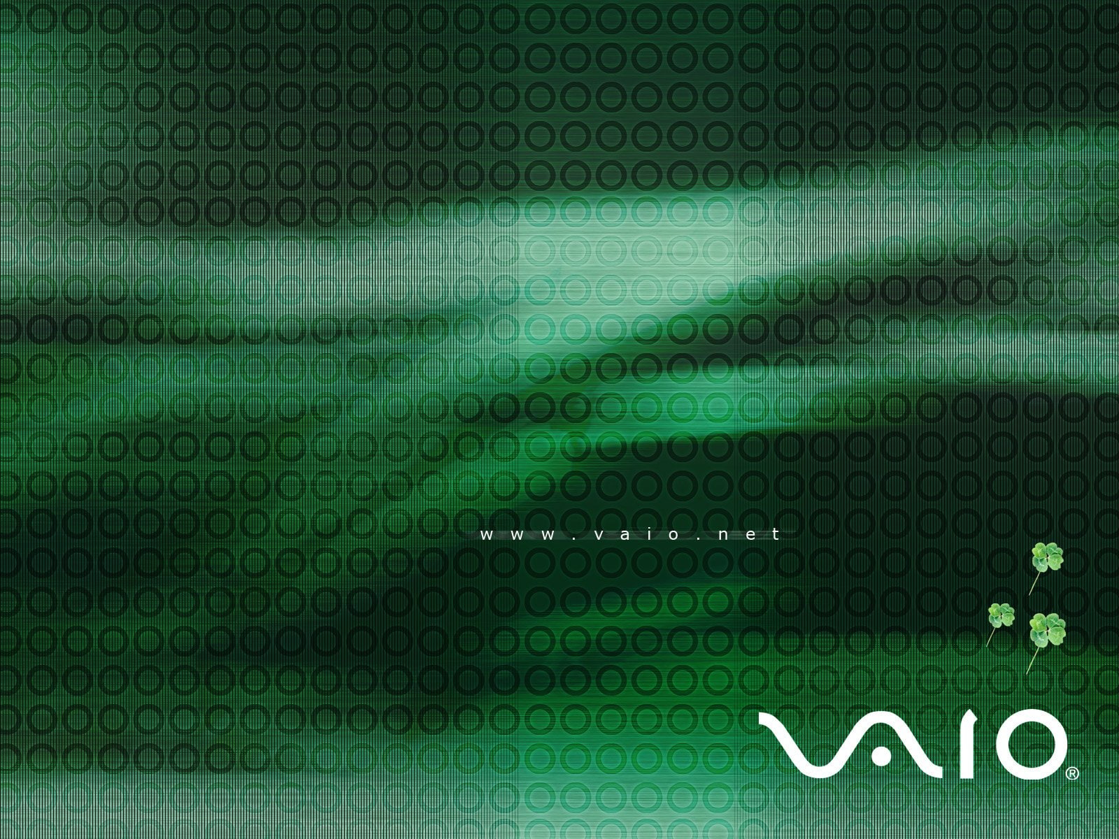 720P, vaio, sony, computer, HD Wallpaper