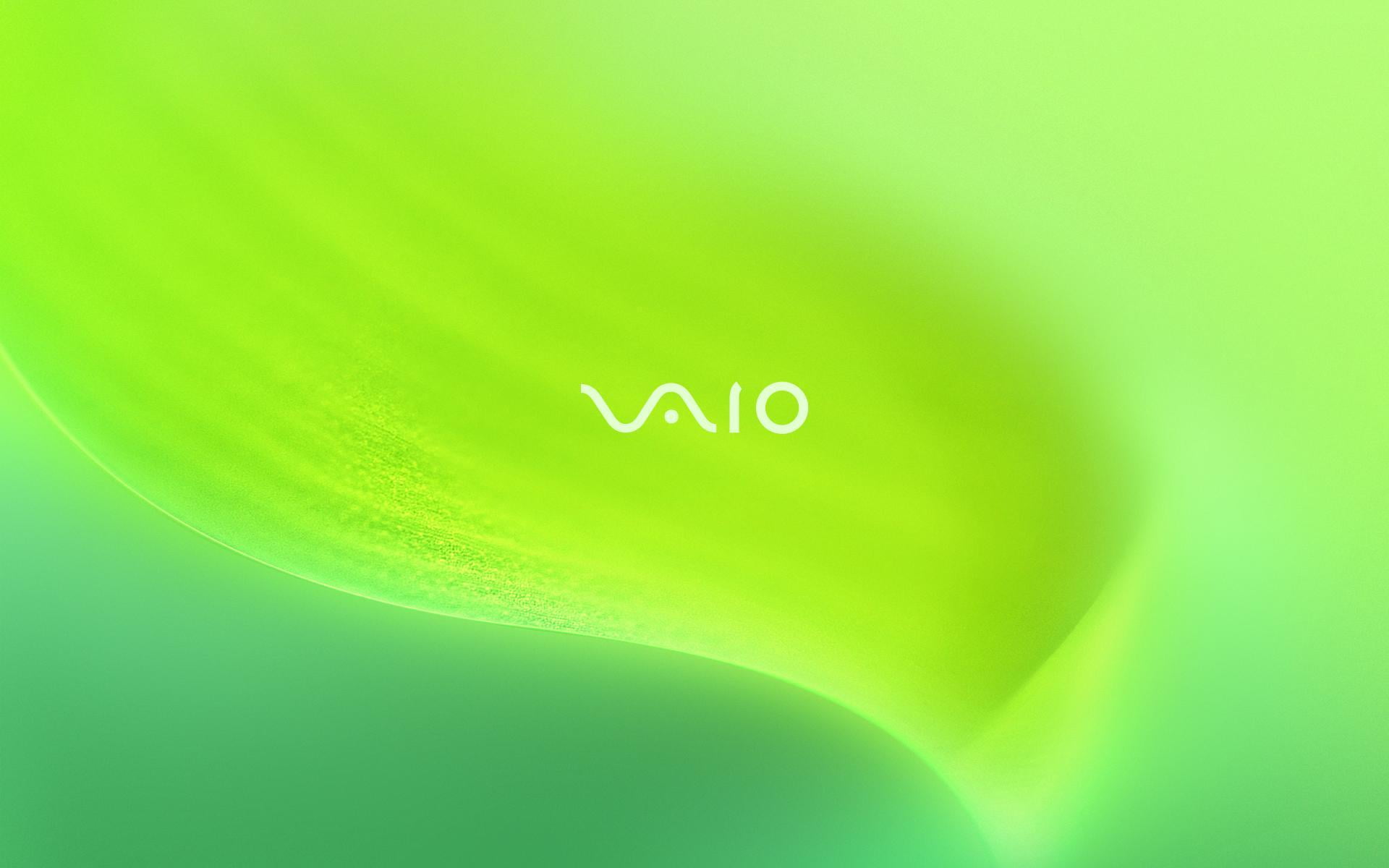 backgrounds, positive emotion, valentines day - holiday, Sony, green color, plant part, western script, simplicity, text, Vaio, message, computer, sheet, HD Wallpaper