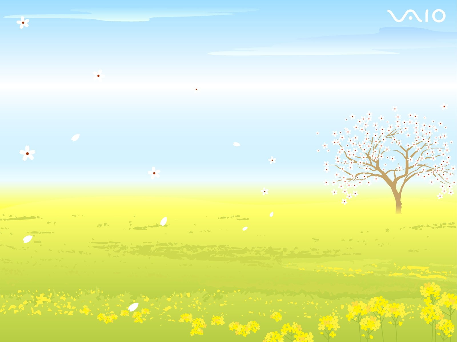 720P, computer, vaio, sony, HD Wallpaper